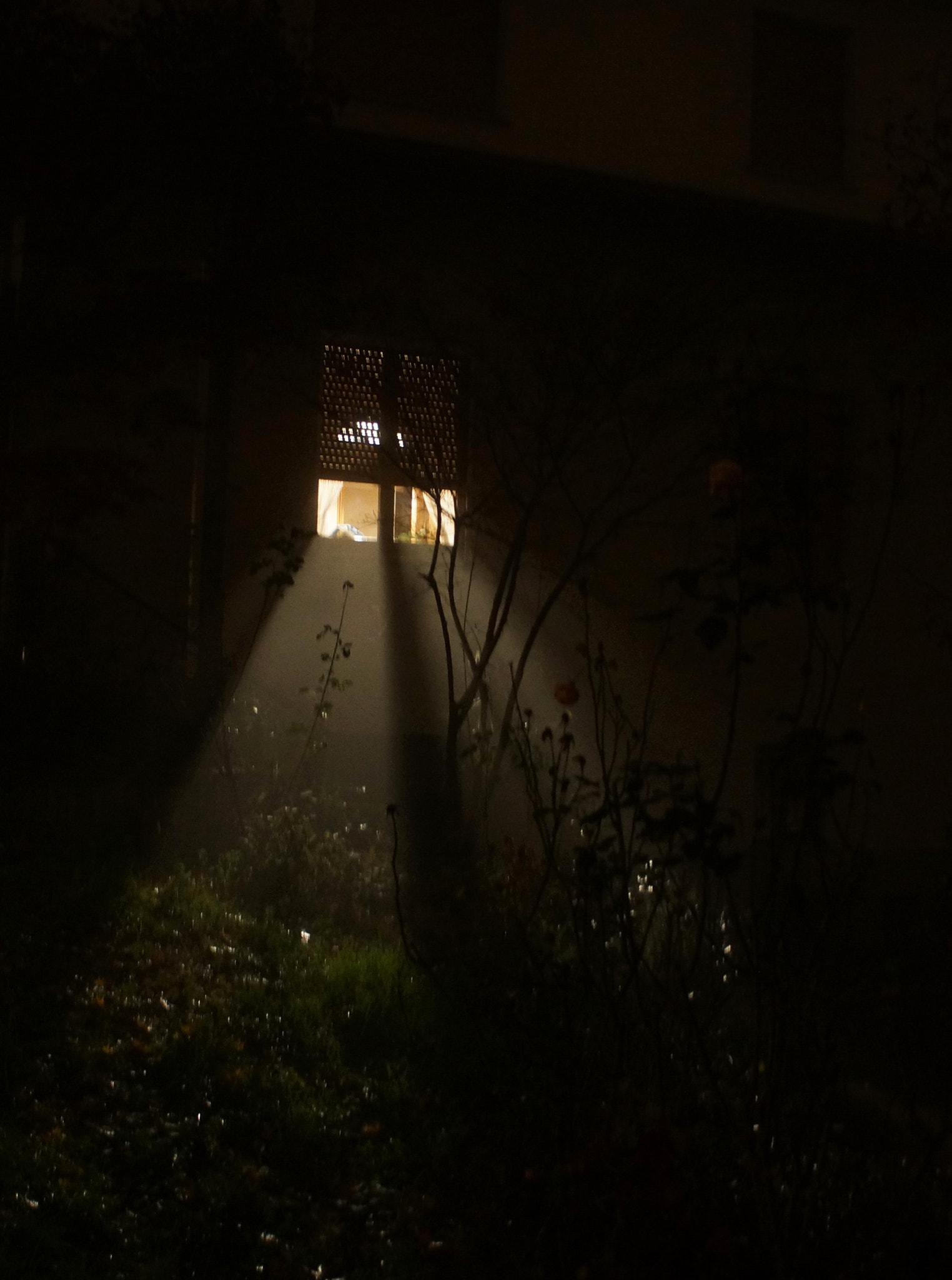 Sony SLT-A77 + DT 18-300mm F3.5-6.3 sample photo. Night photography