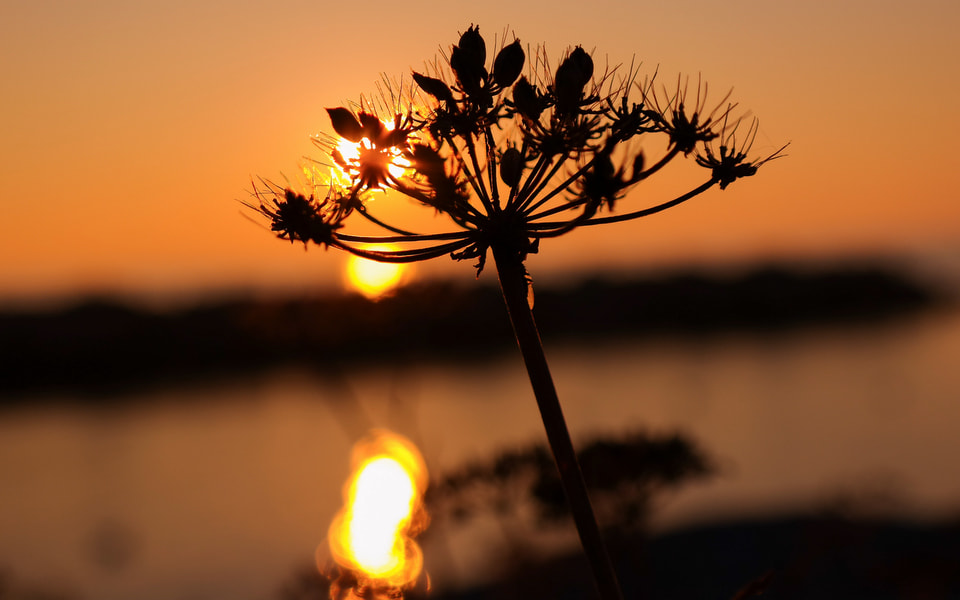 Samsung NX30 + NX 18-55mm F3.5-5.6 sample photo. ... photography