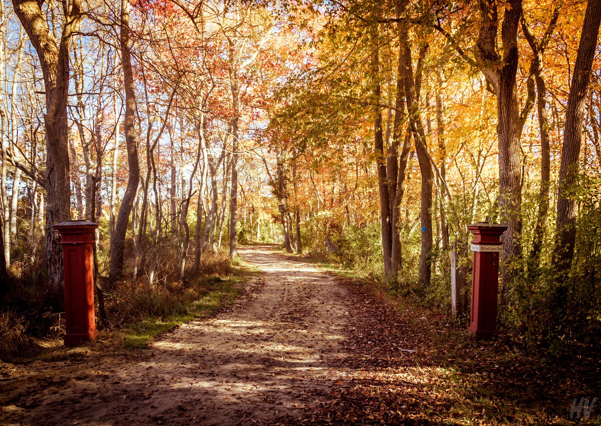 Sony a7 II + Sony E PZ 18-105mm F4 G OSS sample photo. Old park memories photography