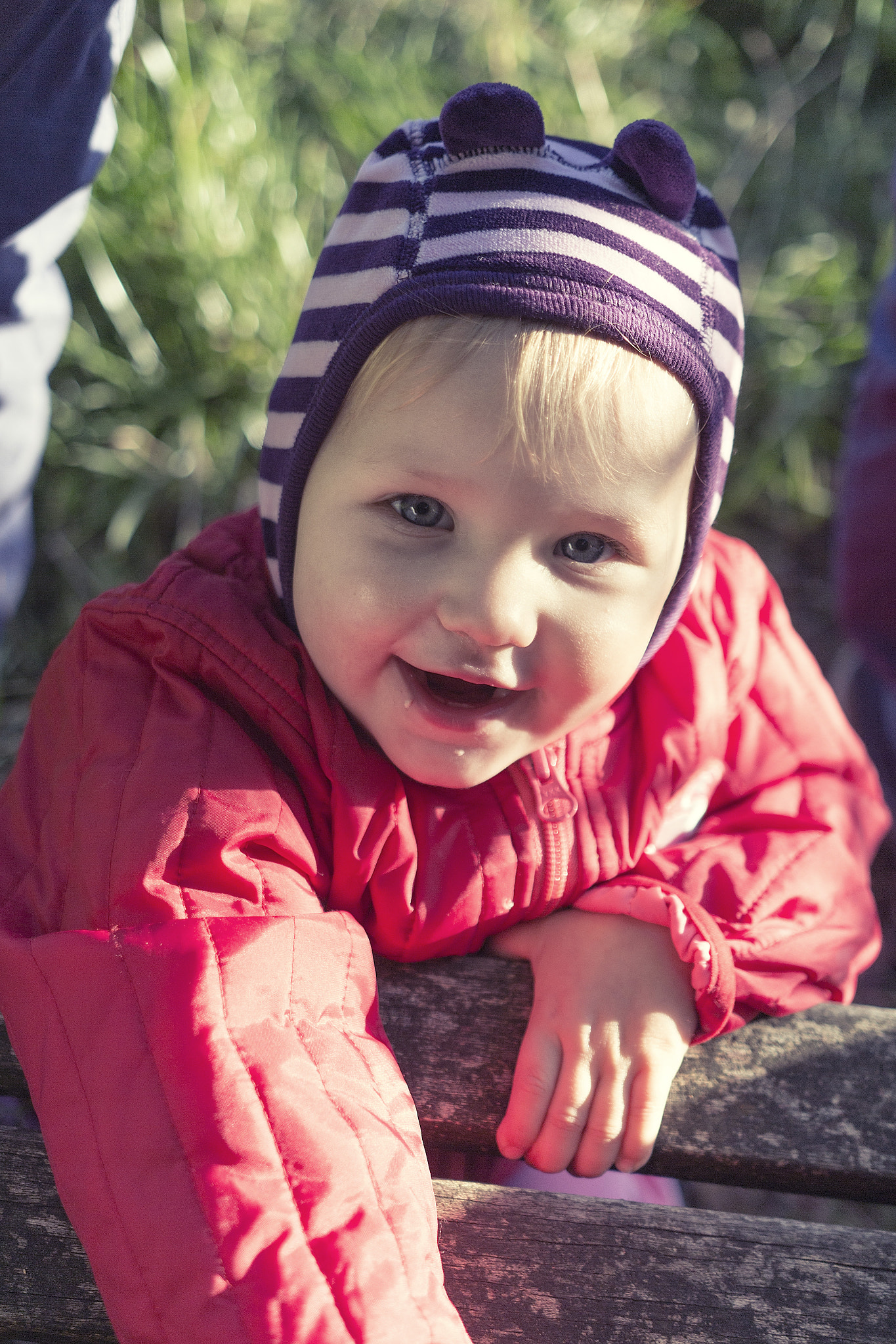 Sigma 18-35mm f/1.8 DC HSM sample photo. Laughing lily photography