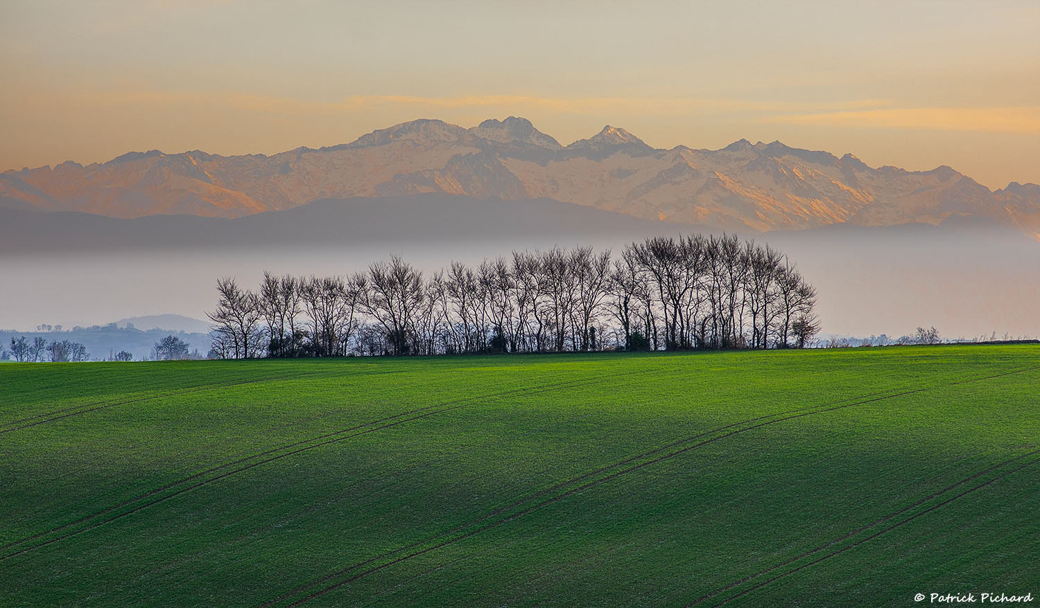 Nikon D810 + AF Nikkor 180mm f/2.8 IF-ED sample photo. Trees and mountain photography