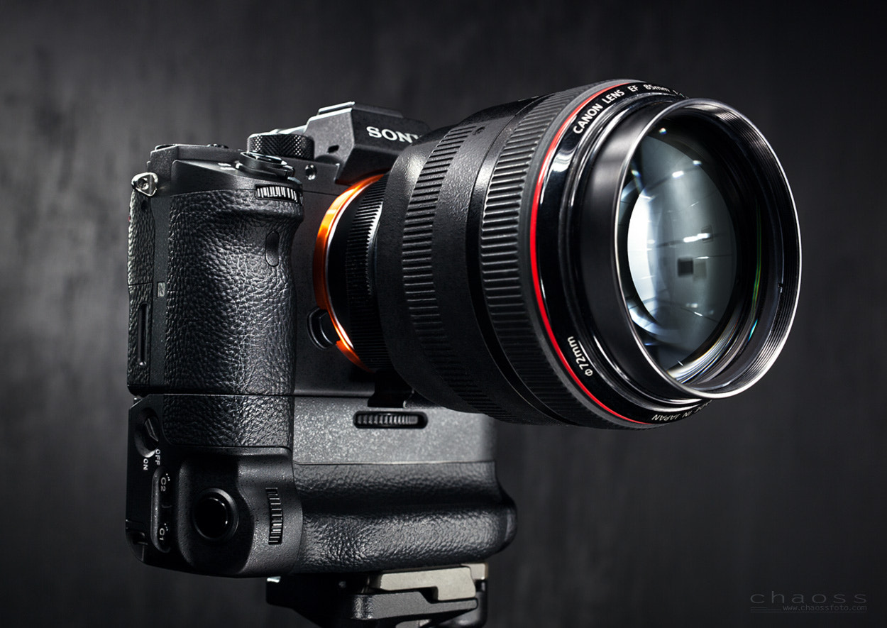 ZEISS Milvus 50mm F1.4 sample photo. Modern digital camera photography