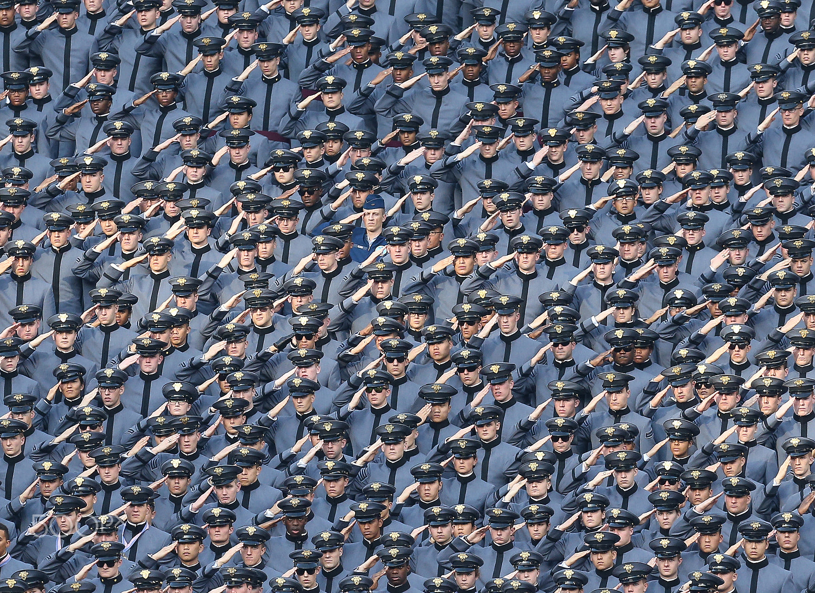 Canon EOS-1D X + Canon EF 400mm F2.8L IS USM sample photo. Cadets saluting photography
