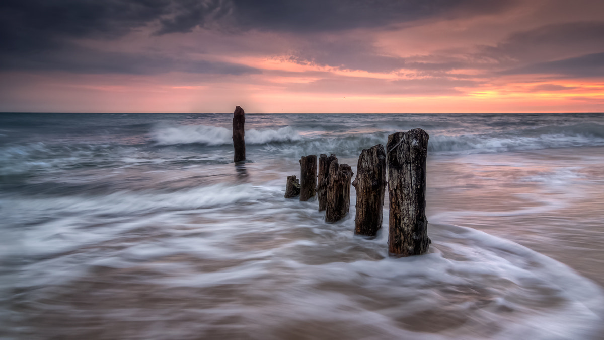 Tokina AT-X Pro 12-24mm F4 (IF) DX sample photo. Morgends am buk photography