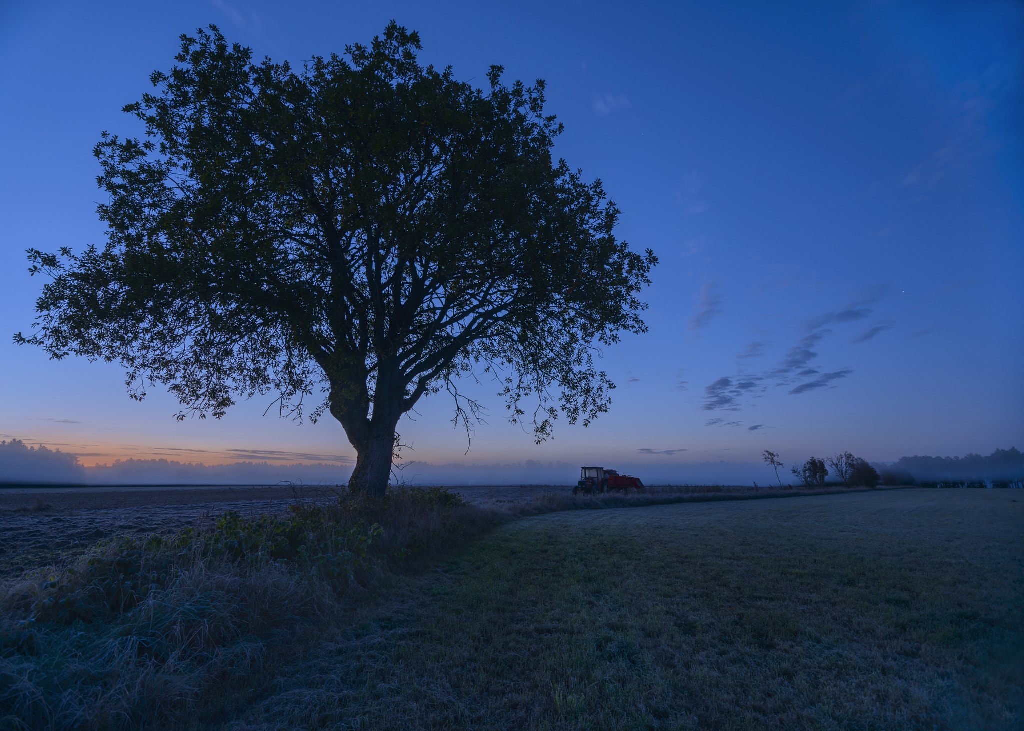 Sigma 10-20mm F4-5.6 EX DC HSM sample photo. Trotteslöv photography