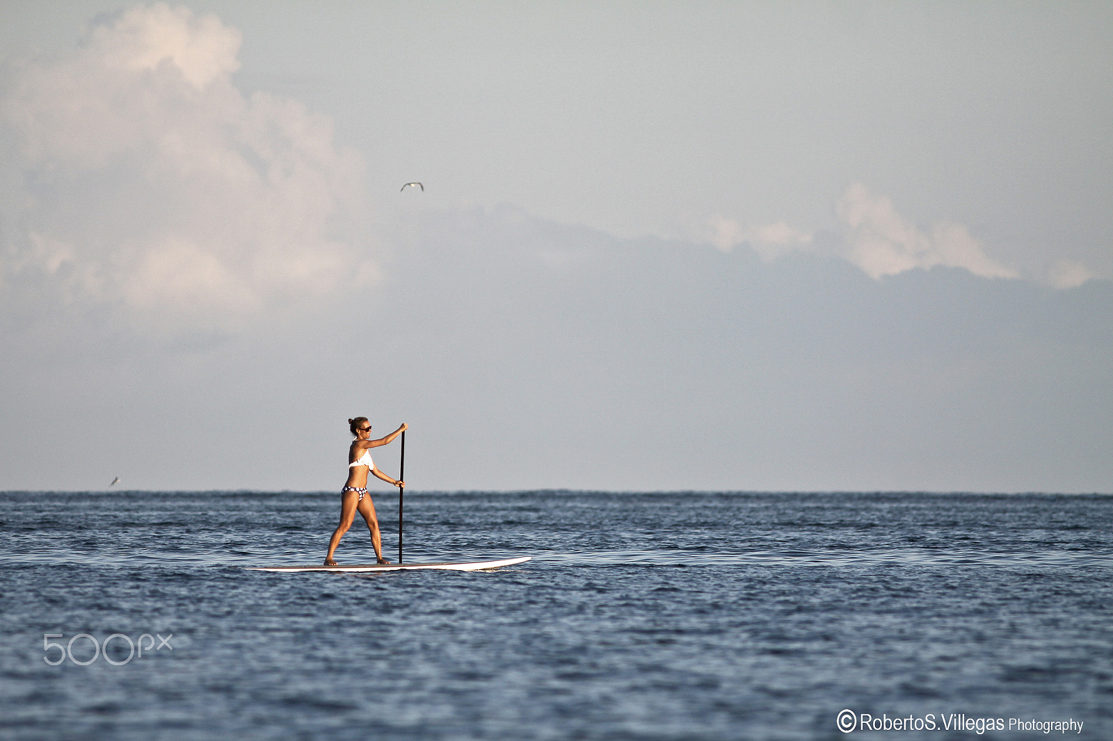Canon EOS 50D + Canon EF 300mm F4L IS USM sample photo. Poddle surf photography