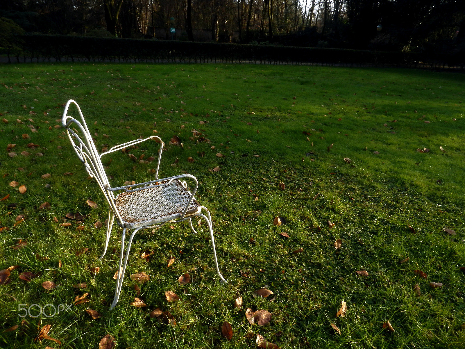 Olympus SZ-20 sample photo. The chair photography