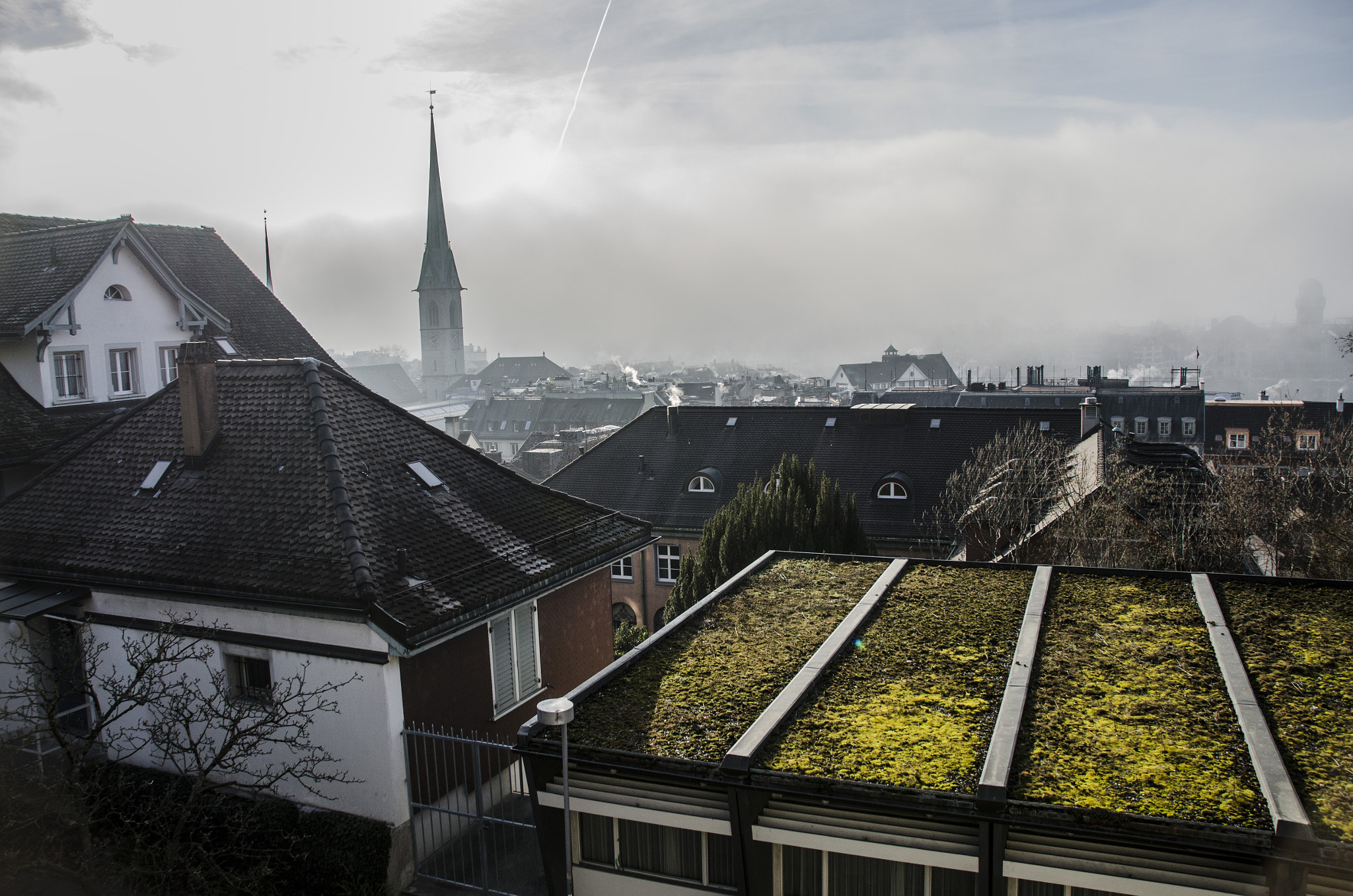 Nikon D7000 + Nikon PC-E Nikkor 24mm F3.5D ED Tilt-Shift sample photo. Zürich in the fog. photography