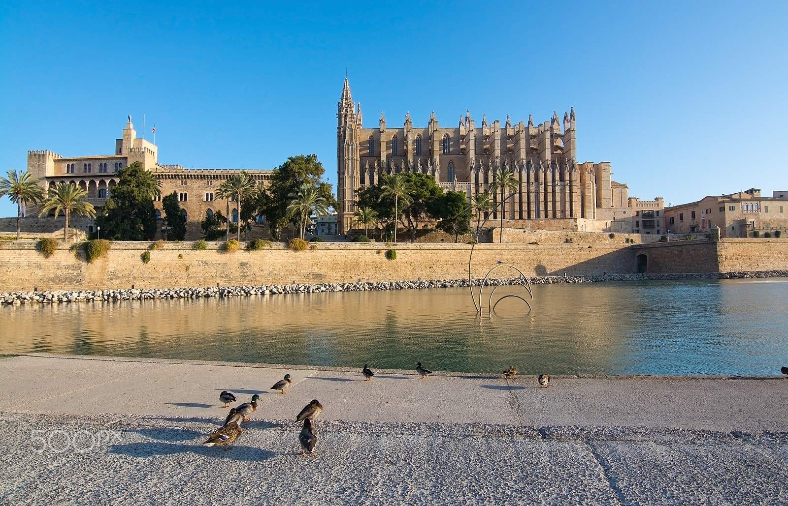 Nikon D7100 + IX-Nikkor 60-180mm f/4-5.6 sample photo. The cathedral la seu photography