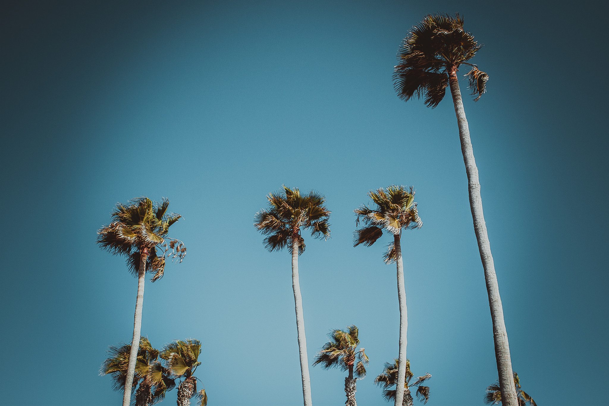 Canon EOS 500D (EOS Rebel T1i / EOS Kiss X3) sample photo. Tenerife, canary islands, vintage photography