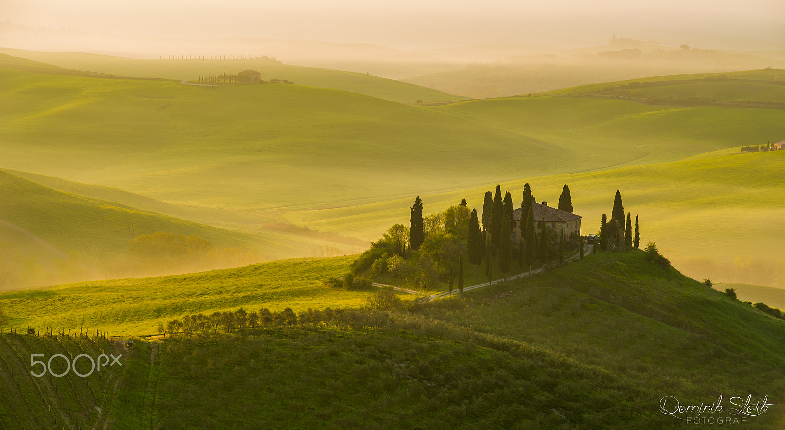 AF-S Zoom-Nikkor 80-200mm f/2.8D IF-ED sample photo. Sunshine in toscana photography