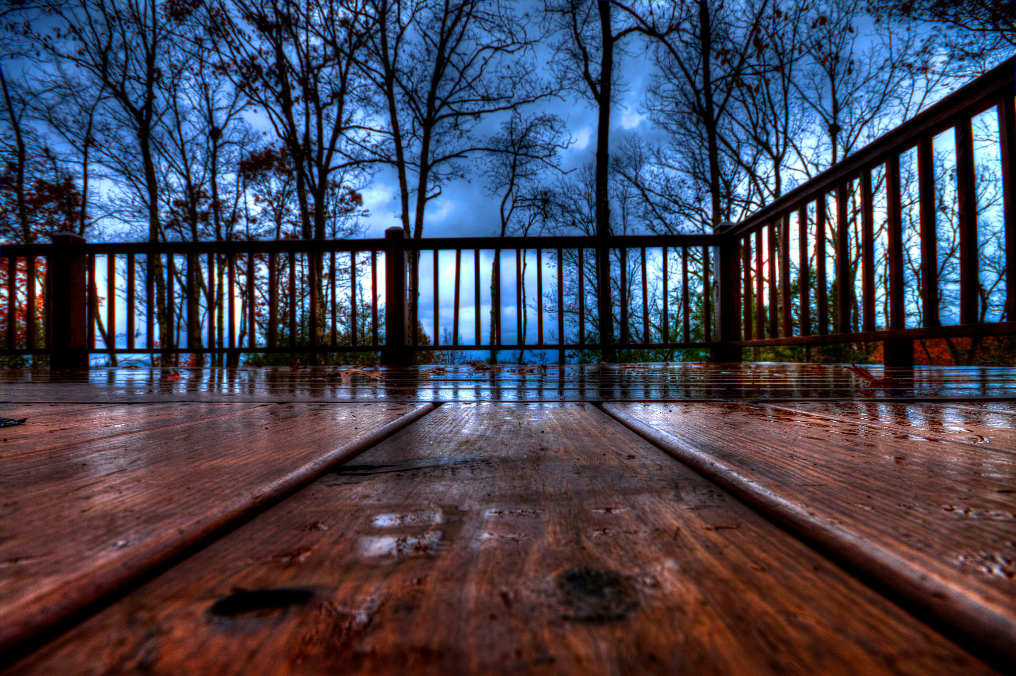 Sigma 10-20mm F4-5.6 EX DC HSM sample photo. Hummingbirg house deck photography