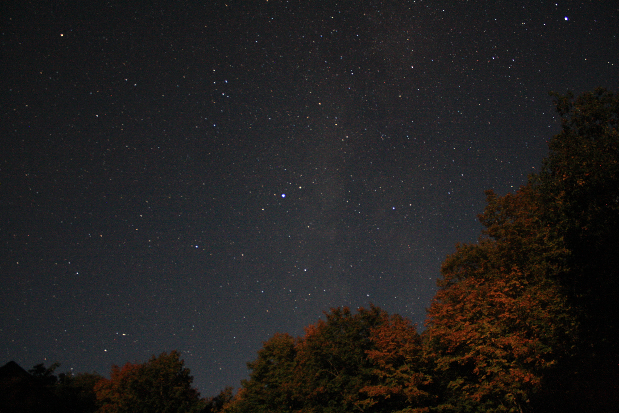 Canon EOS 1000D (EOS Digital Rebel XS / EOS Kiss F) sample photo. Fall at night photography