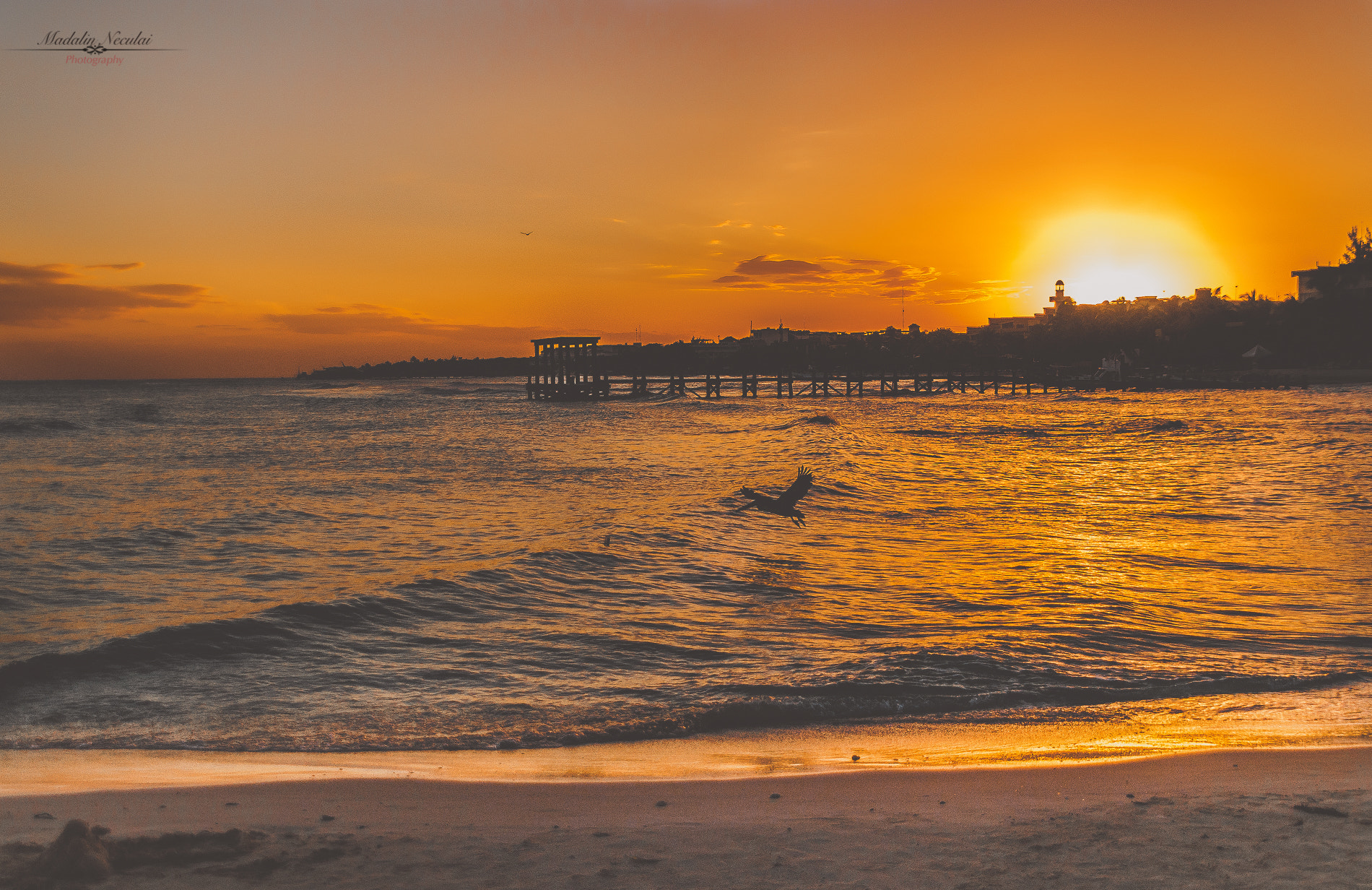 Nikon D300 + Sigma 18-200mm F3.5-6.3 DC sample photo. Sundown time photography