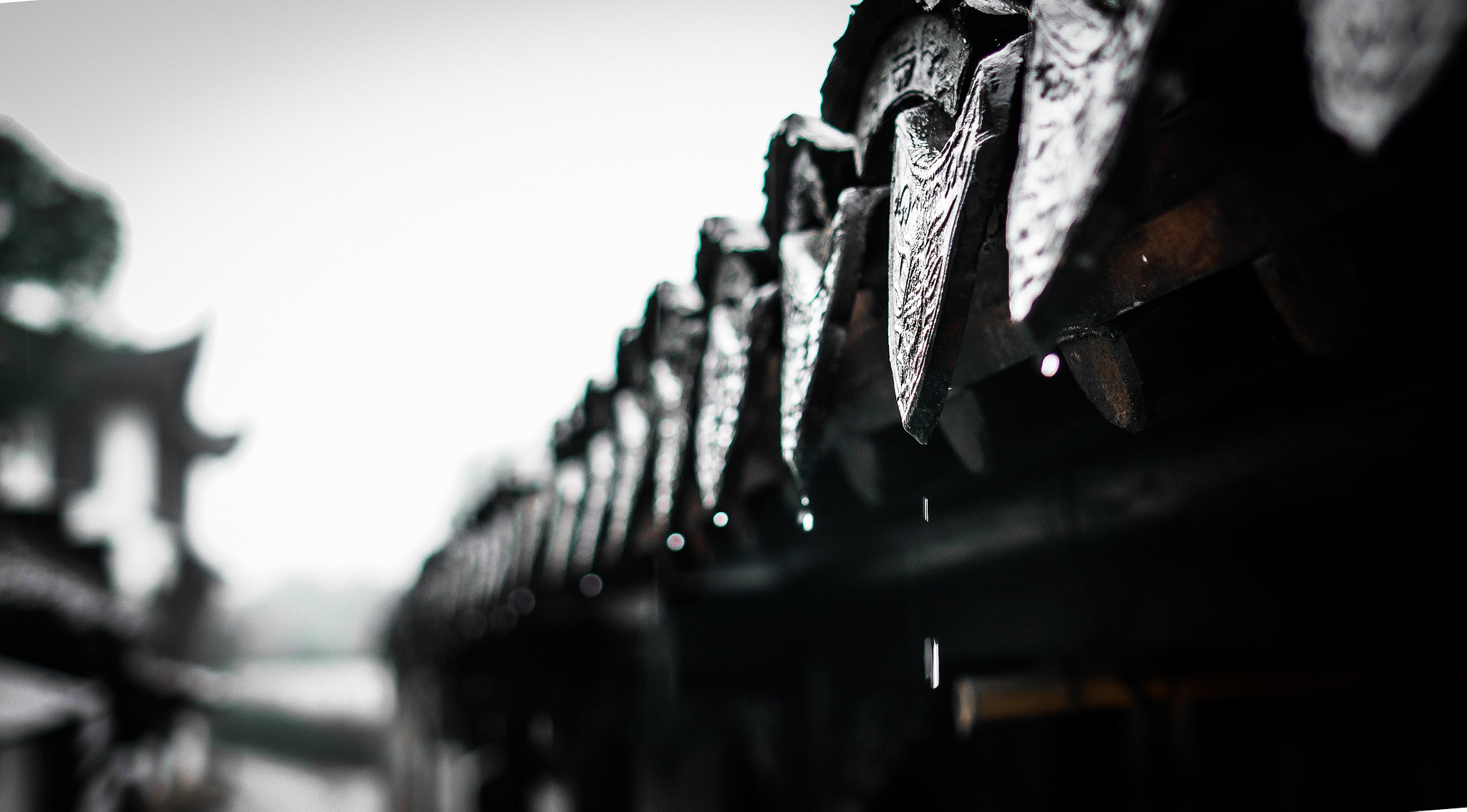 Sony Alpha NEX-5R + Sony E 35mm F1.8 OSS sample photo. Rain drops from a thousand year old roof photography