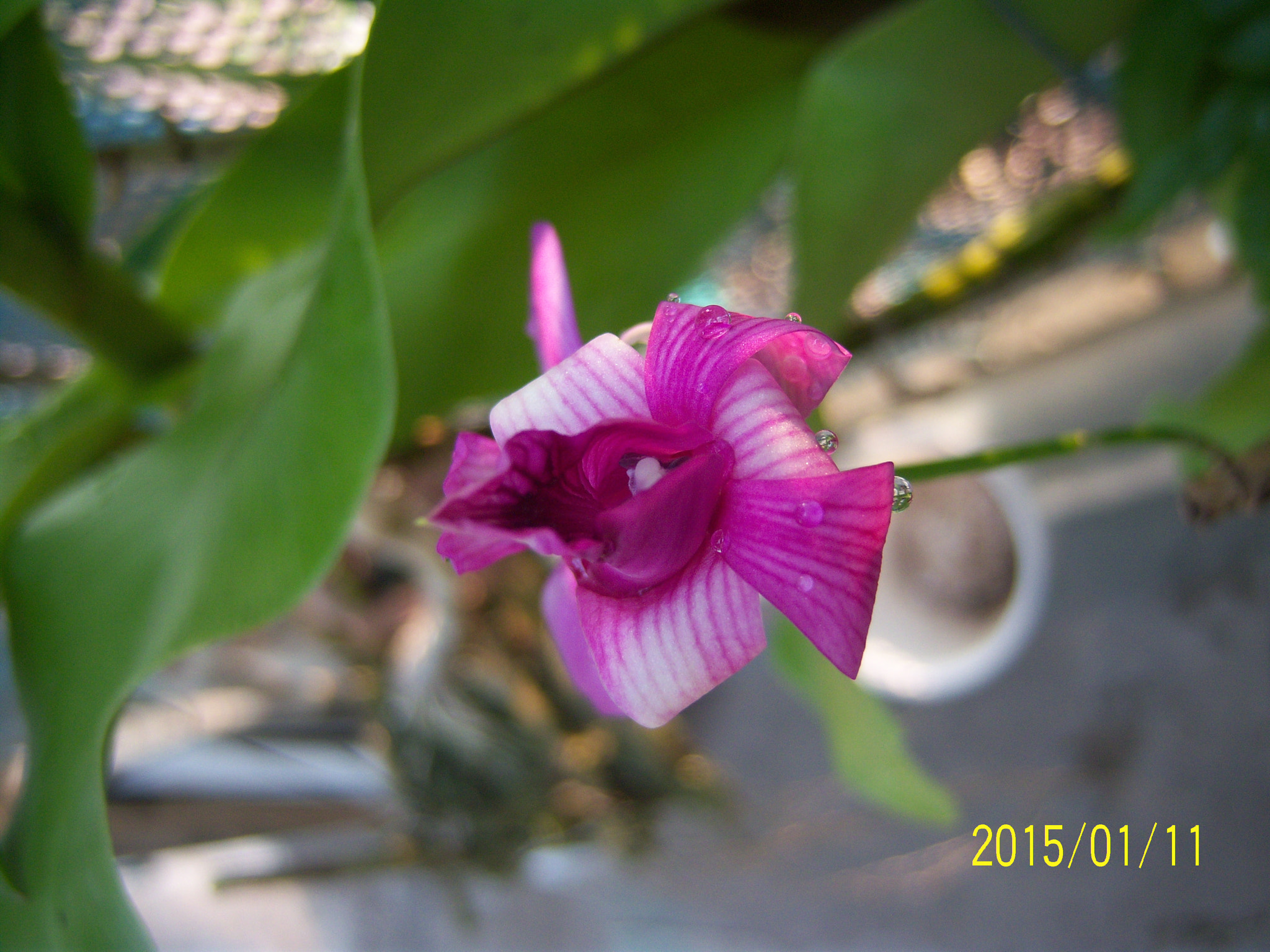Kodak EASYSHARE V1003 ZOOM DIGITAL CAMERA sample photo. Kieu hanh photography