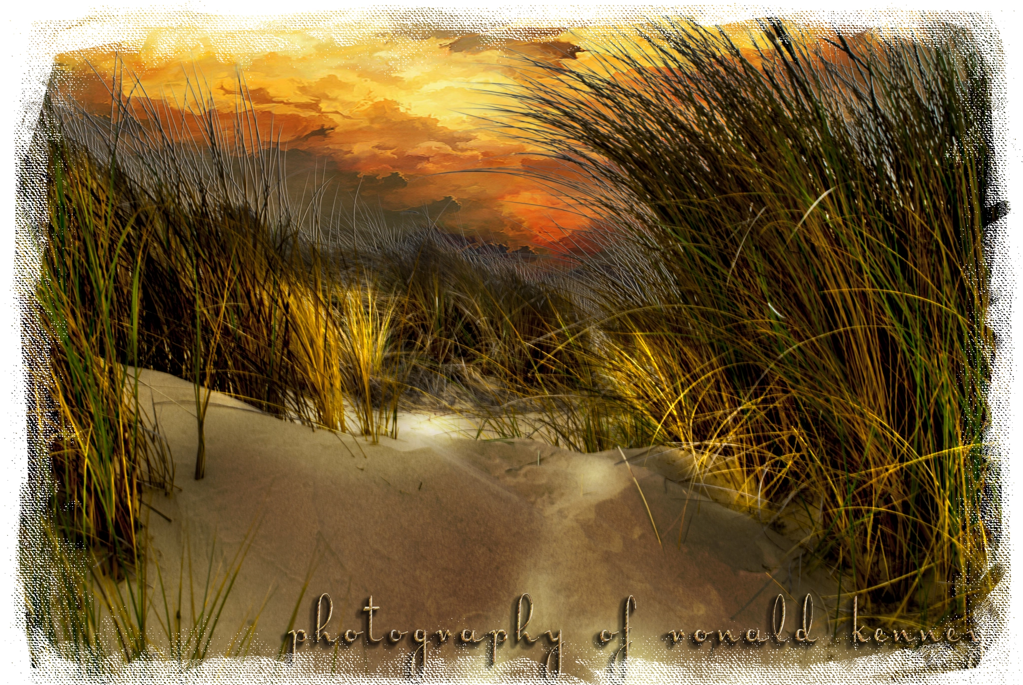 Nikon D200 sample photo. Pismo beach california photography