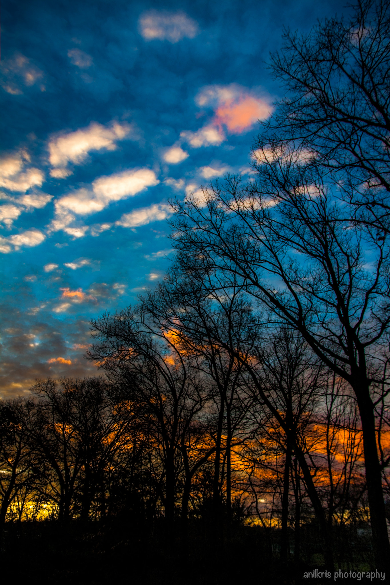Canon EOS 450D (EOS Rebel XSi / EOS Kiss X2) sample photo. My winter sunrise photography