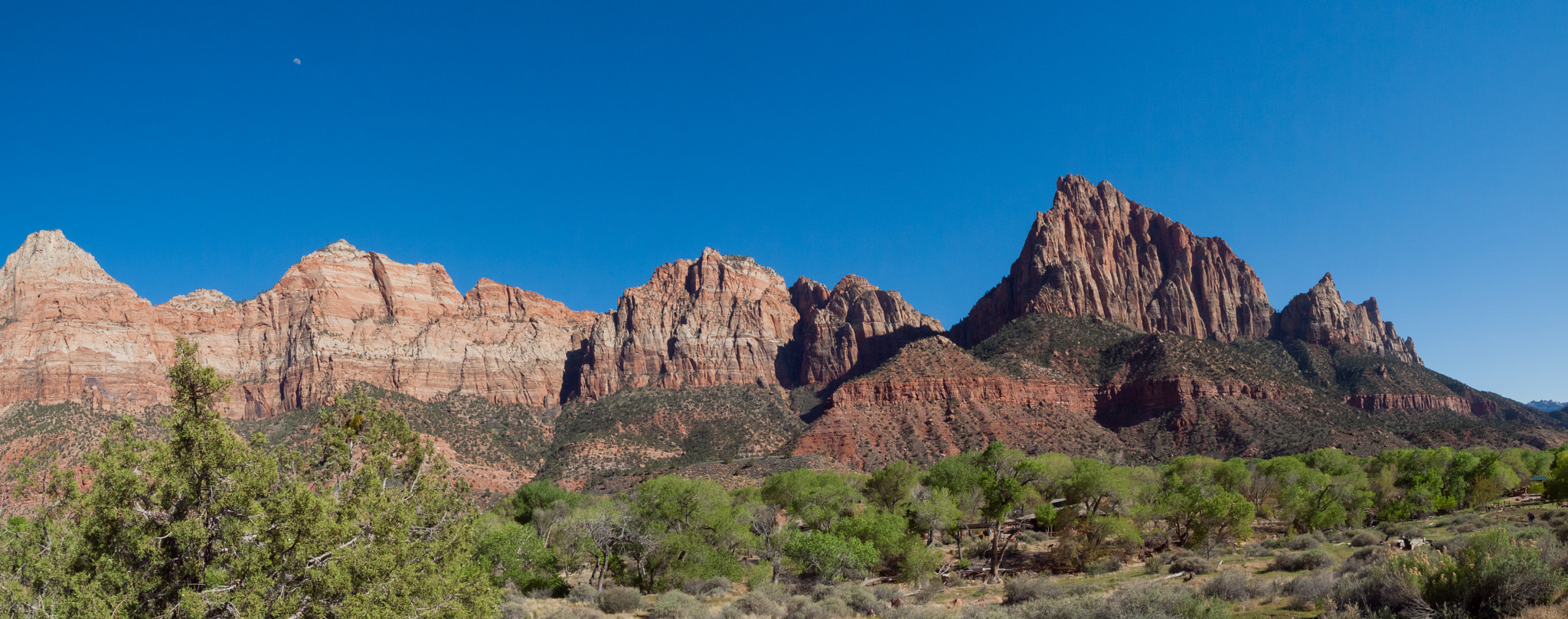 Olympus E-620 (EVOLT E-620) + Olympus Zuiko Digital 14-54mm F2.8-3.5 II sample photo. Zion national park photography