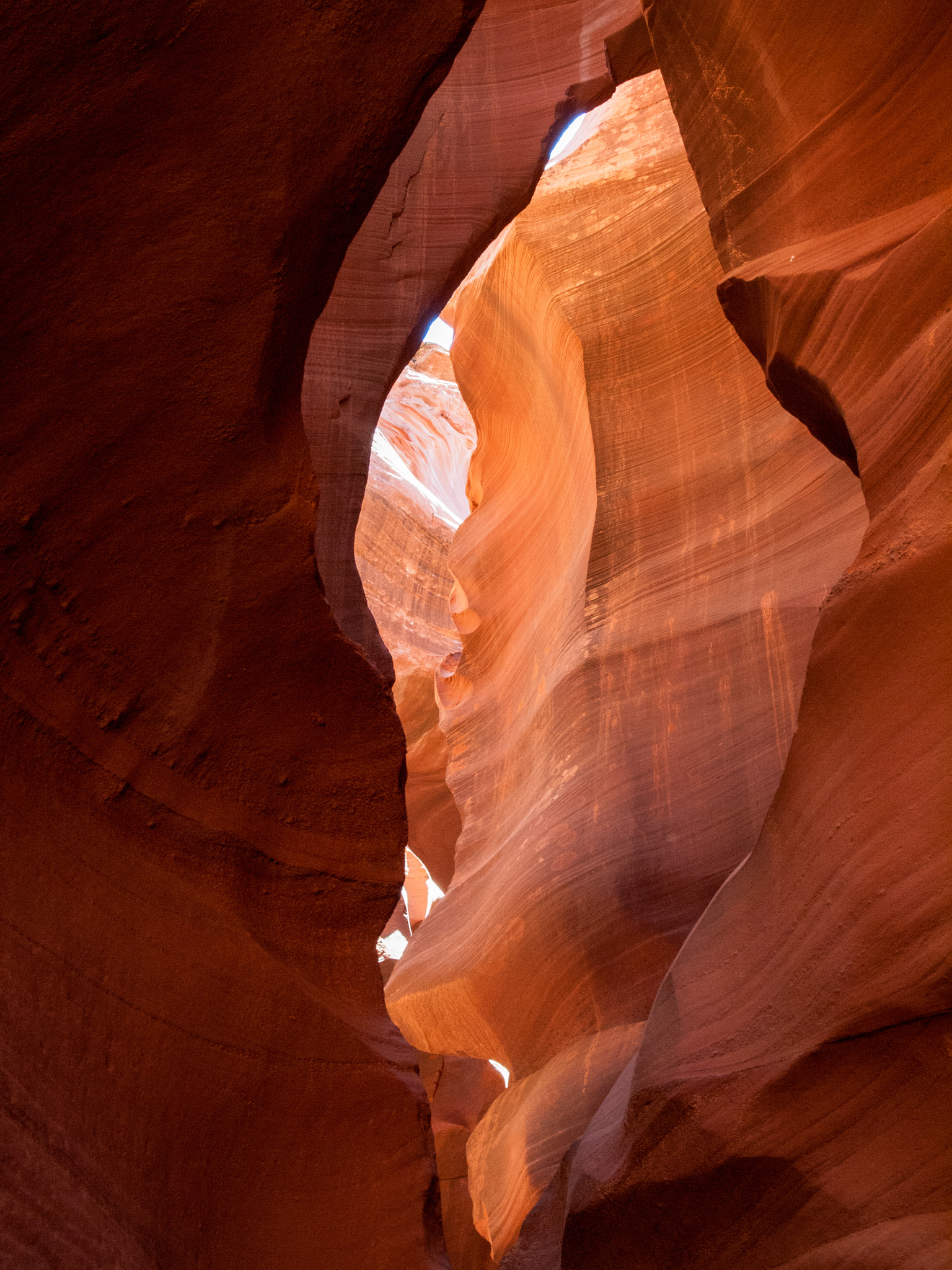 Olympus E-620 (EVOLT E-620) + Olympus Zuiko Digital 14-54mm F2.8-3.5 II sample photo. Lower antelope canyon photography