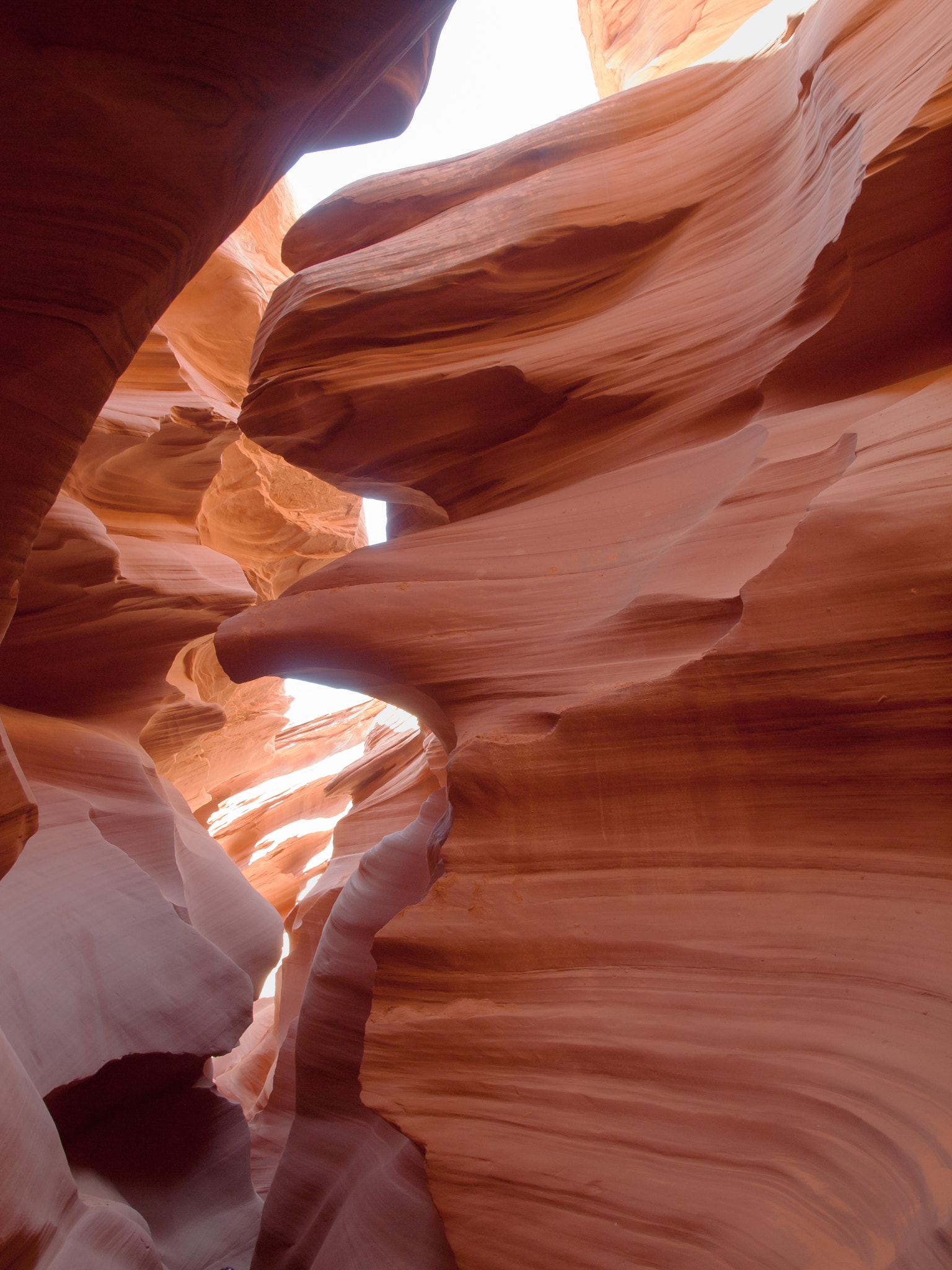 Olympus E-620 (EVOLT E-620) + Olympus Zuiko Digital 14-54mm F2.8-3.5 II sample photo. Lower antelope canyon photography