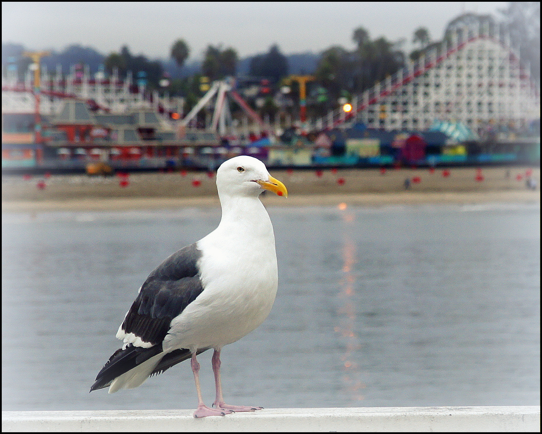 Sony Alpha DSLR-A550 + Sigma 17-70mm F2.8-4.5 (D) sample photo. Bird's eye view photography