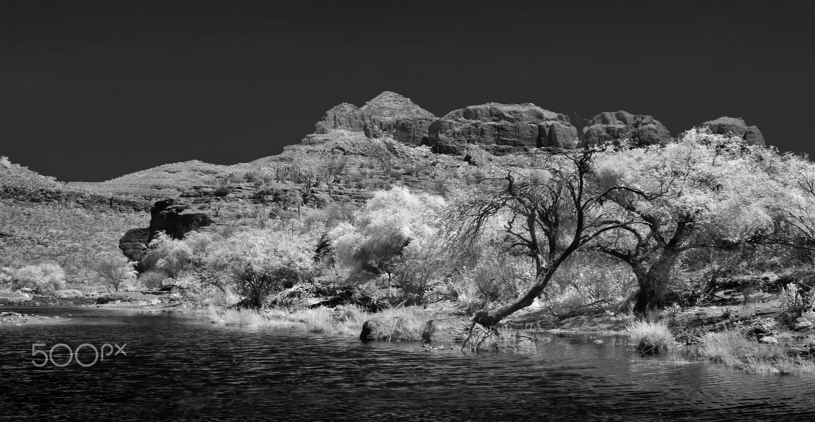 Sony SLT-A55 (SLT-A55V) + Sony DT 35mm F1.8 SAM sample photo. Paradise in baja's desert photography