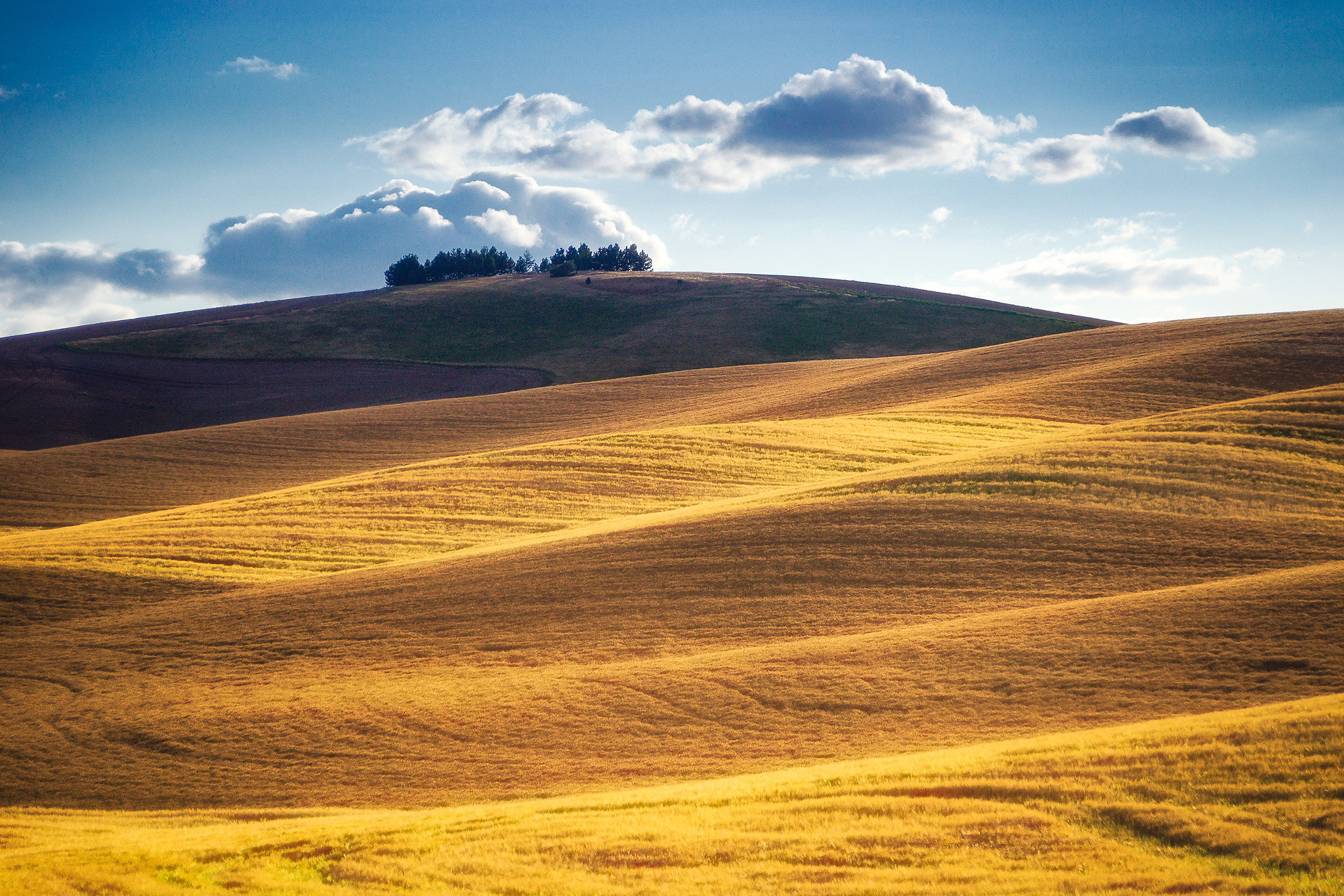 Sigma 18-250mm F3.5-6.3 DC OS HSM sample photo. Palouse golden waves engulf radiate photography