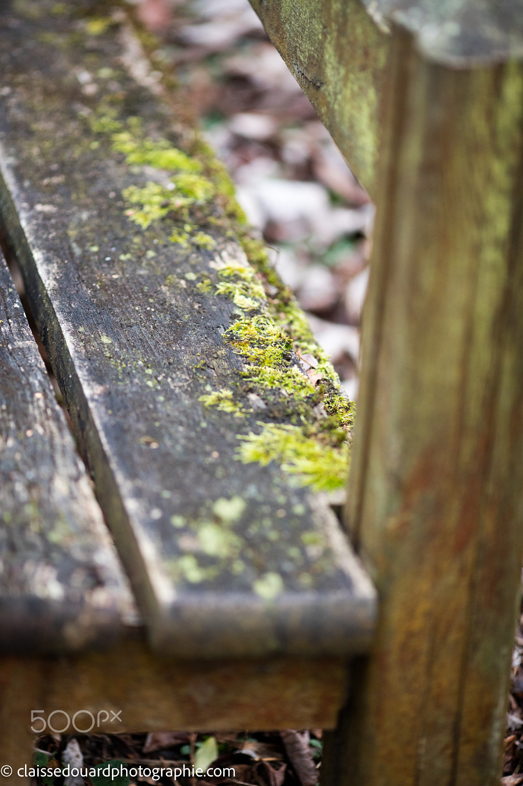 Canon EOS 5DS + Canon EF 135mm F2L USM sample photo. 0h3a3662.jpg photography