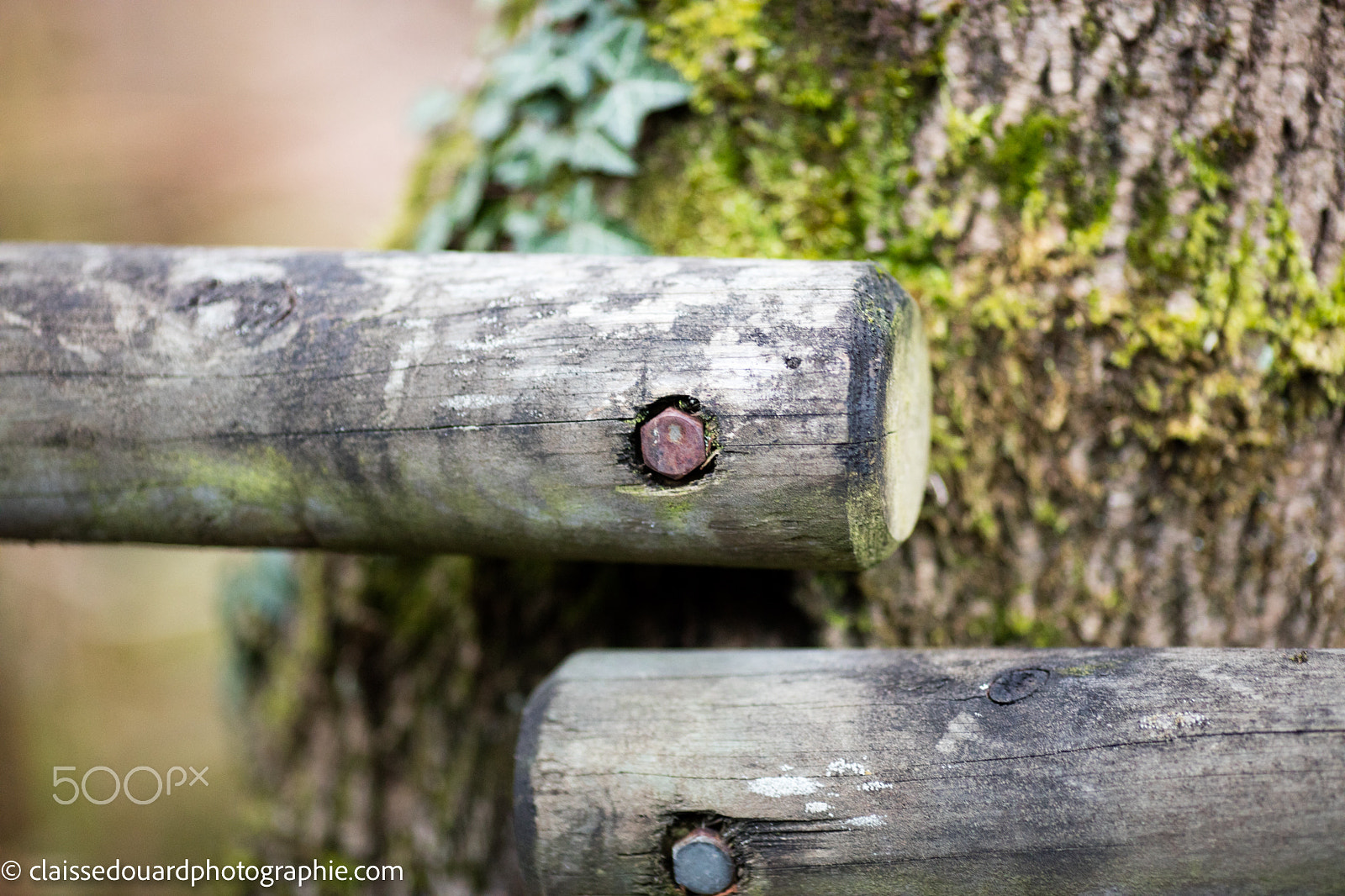 Canon EOS 5DS + Canon EF 135mm F2L USM sample photo. 0h3a3685.jpg photography