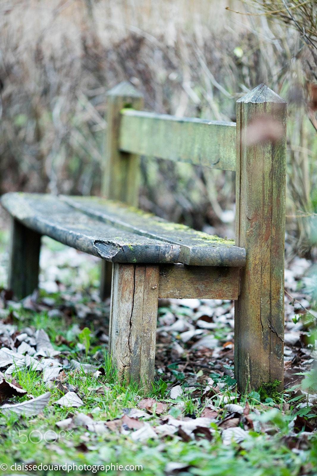 Canon EOS 5DS + Canon EF 135mm F2L USM sample photo. 0h3a3661.jpg photography