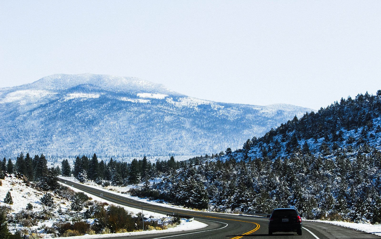 Canon EOS 550D (EOS Rebel T2i / EOS Kiss X4) sample photo. Driving through the wilderness photography