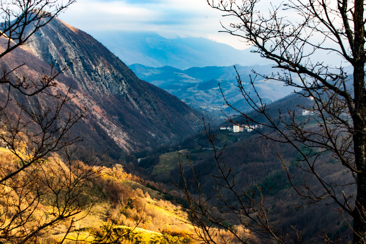 Canon EOS-1D Mark II sample photo. Brueghel il vecchio photography