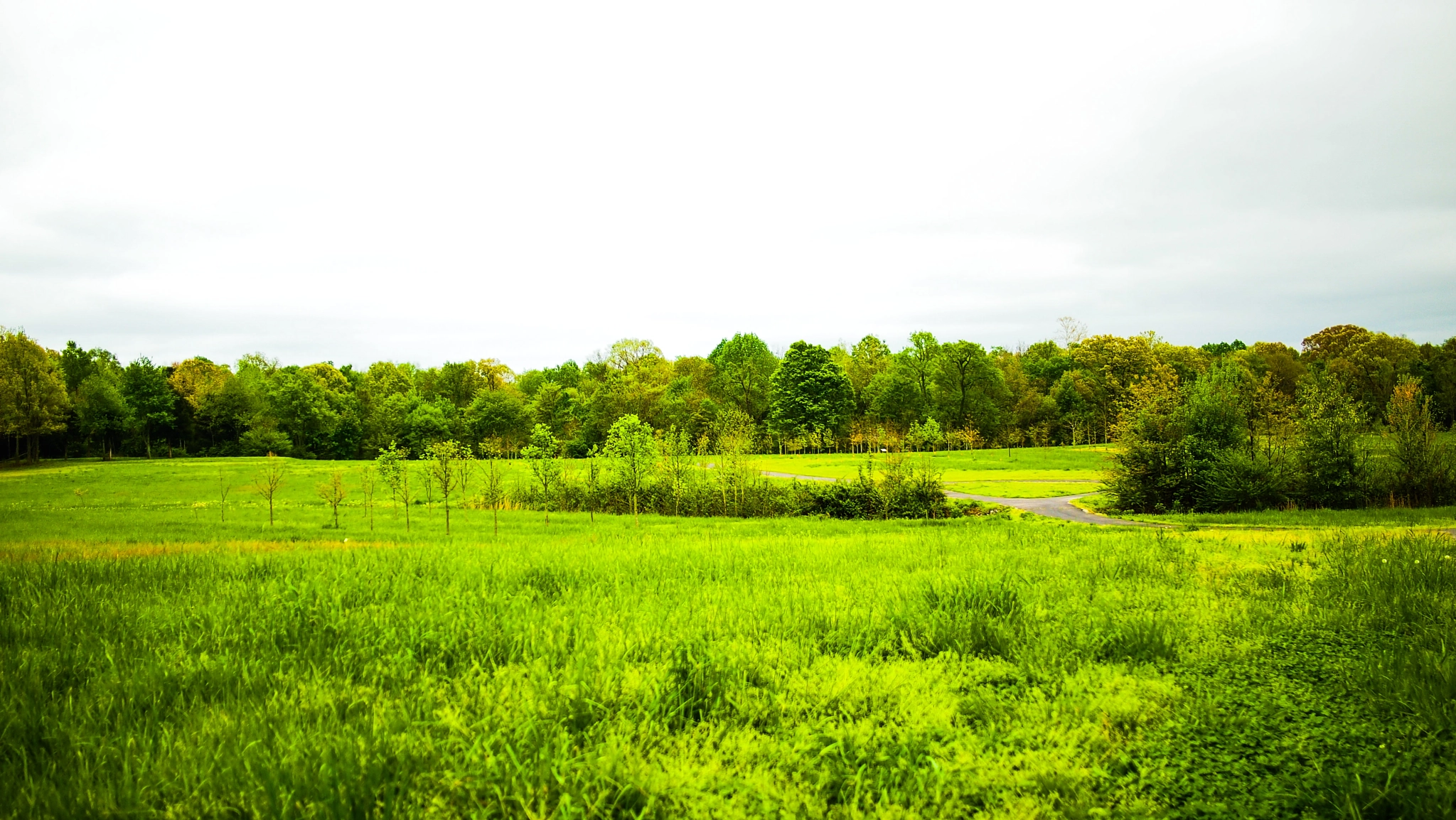 Olympus PEN E-PL1 + Panasonic Lumix G 20mm F1.7 ASPH sample photo. Jackson, tn  photography