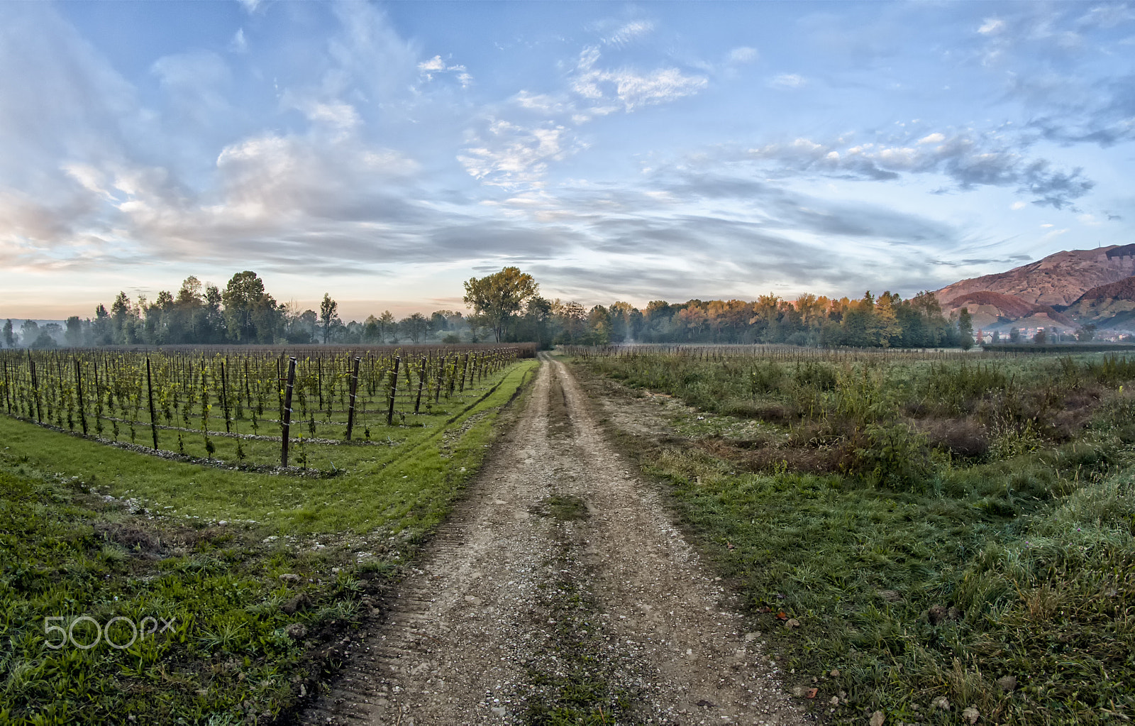 Nikon D90 + Samyang 8mm F3.5 Aspherical IF MC Fisheye sample photo. The road of the forest photography