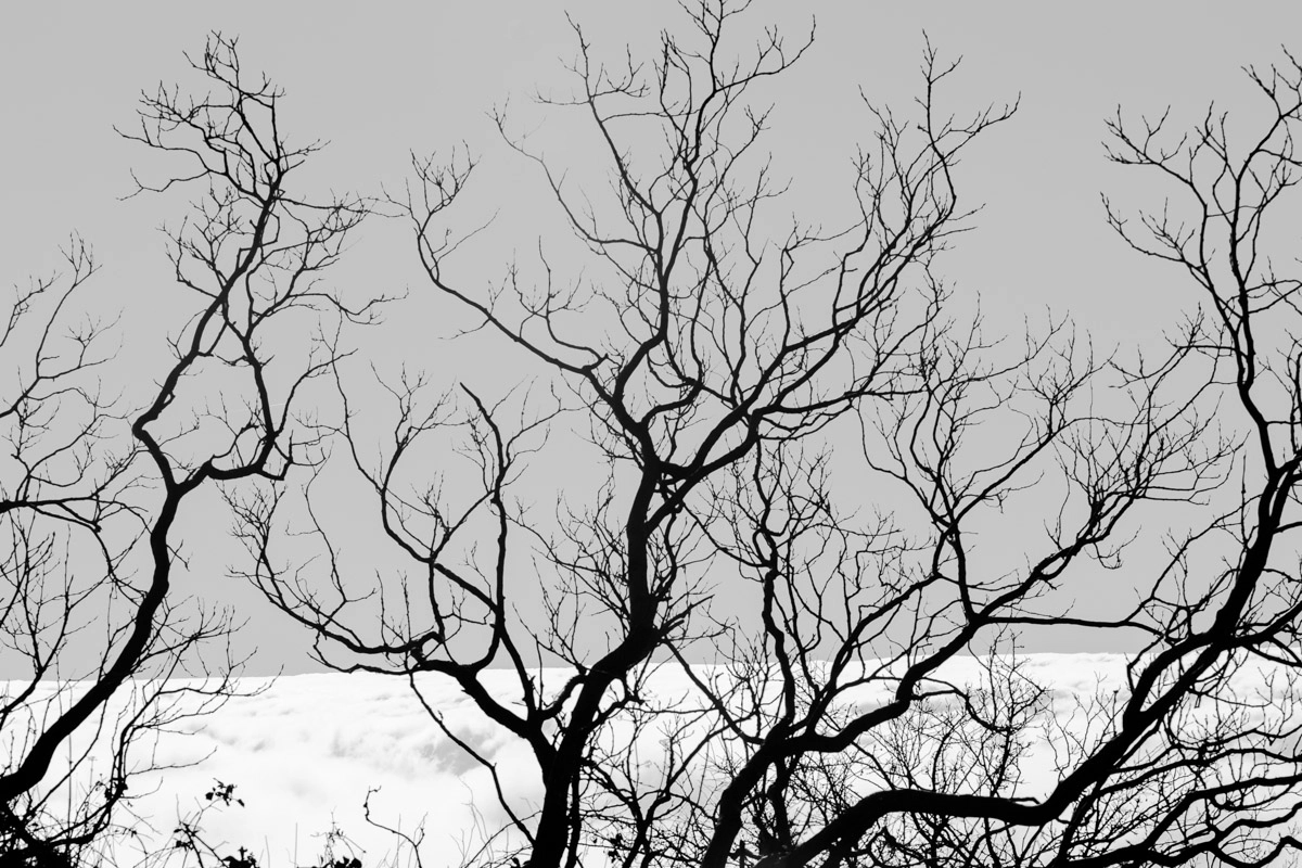 Canon EOS-1D Mark II sample photo. Samurai jack photography