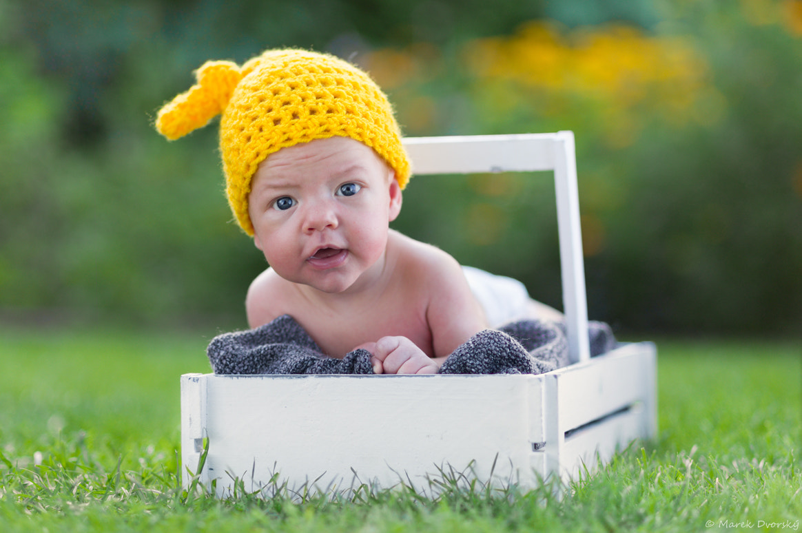 Leica S2 sample photo. Little dwarf photography