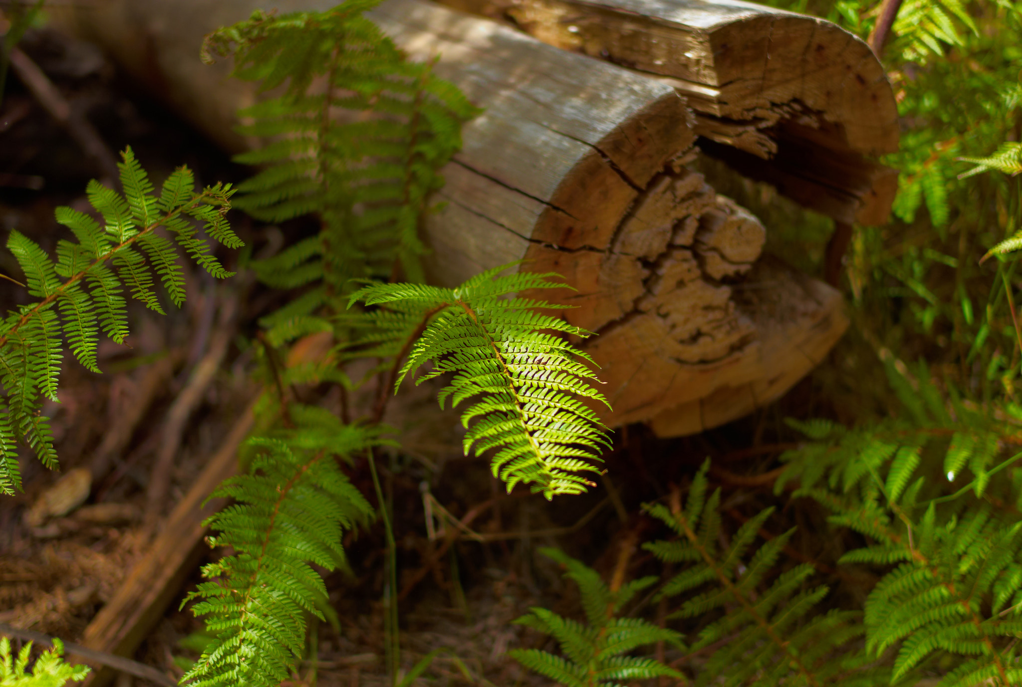 Leica M8 sample photo. * photography