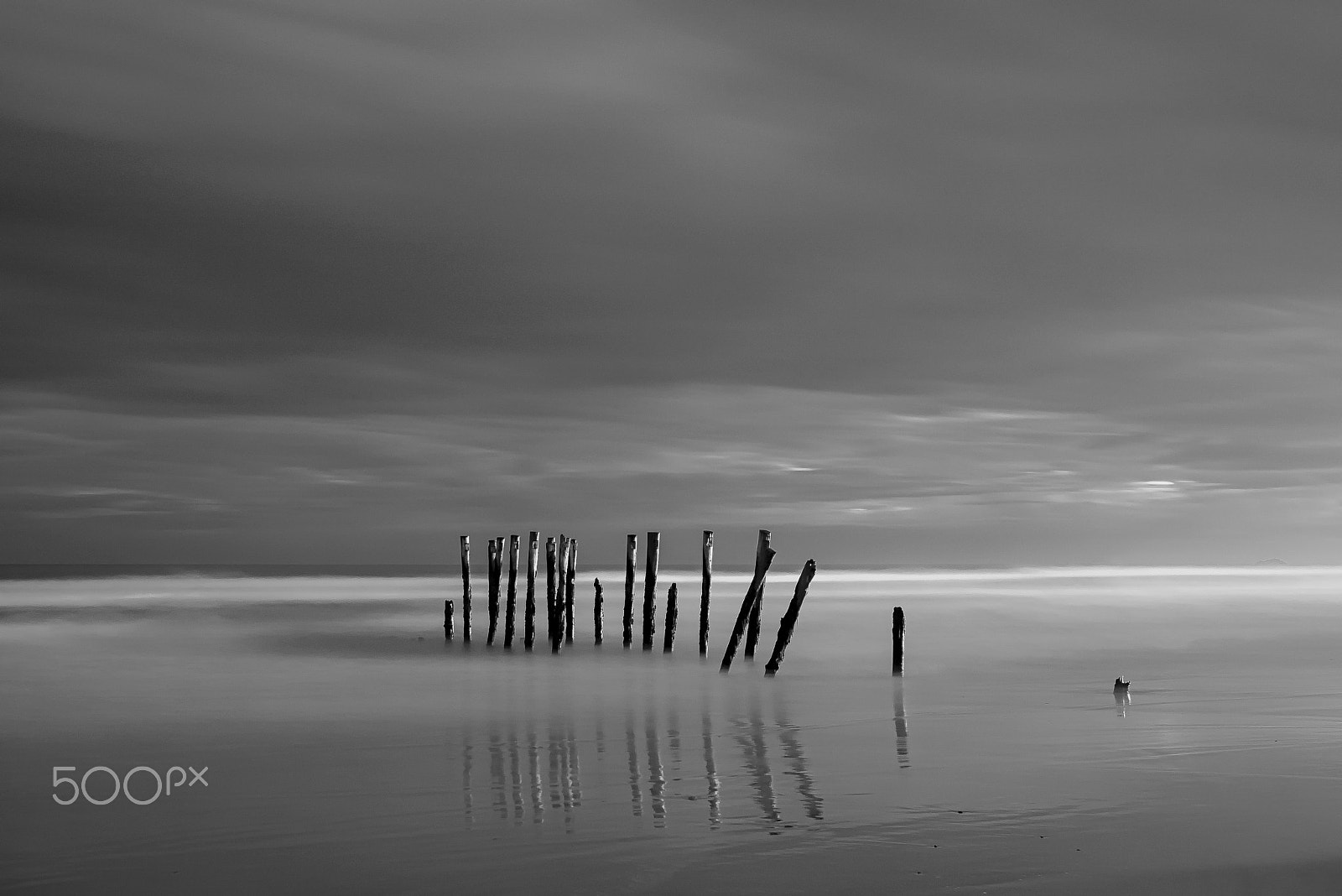Panasonic Lumix DMC-GH4 + LUMIX G 20/F1.7 II sample photo. St clair photography