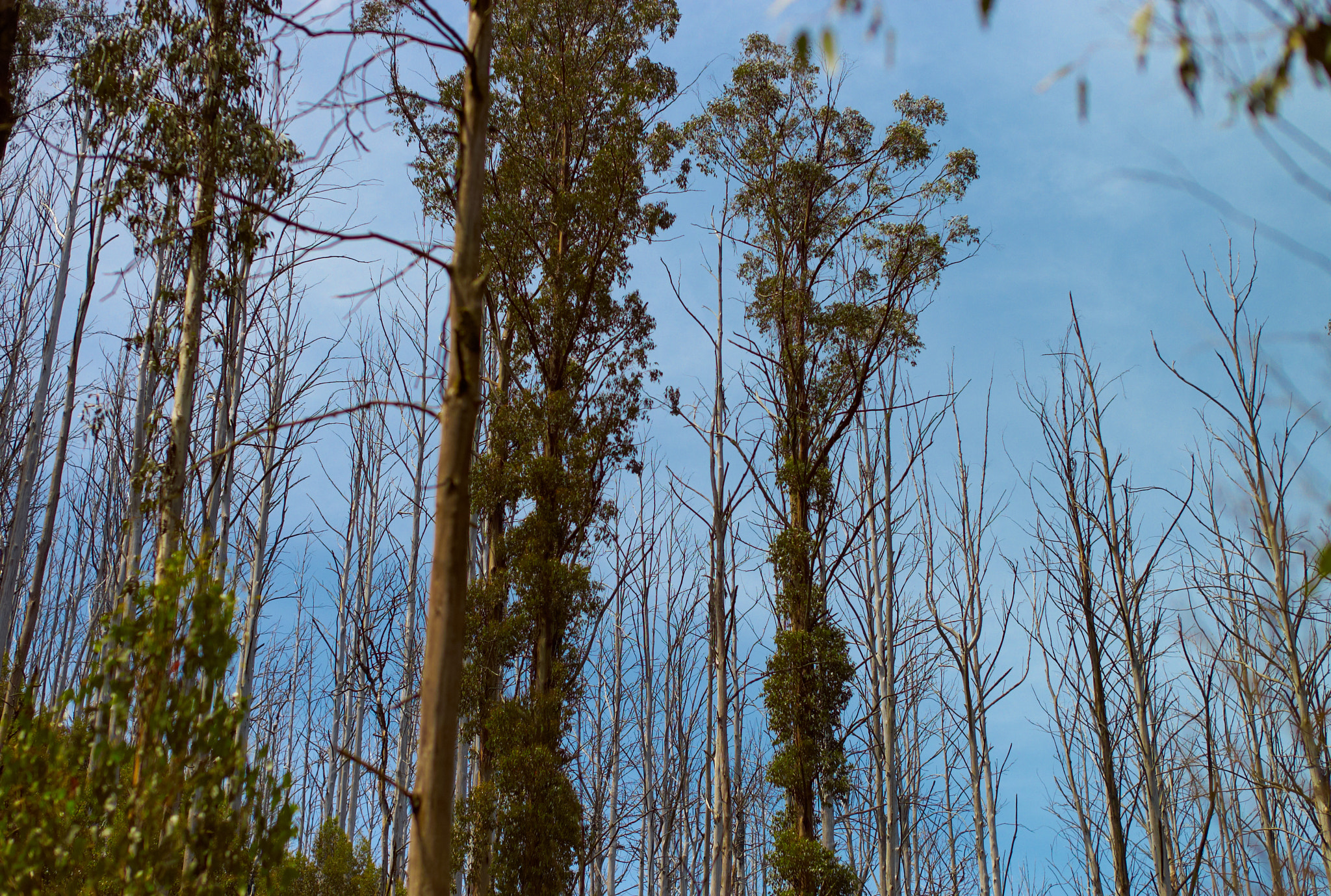 Leica M8 sample photo. * photography