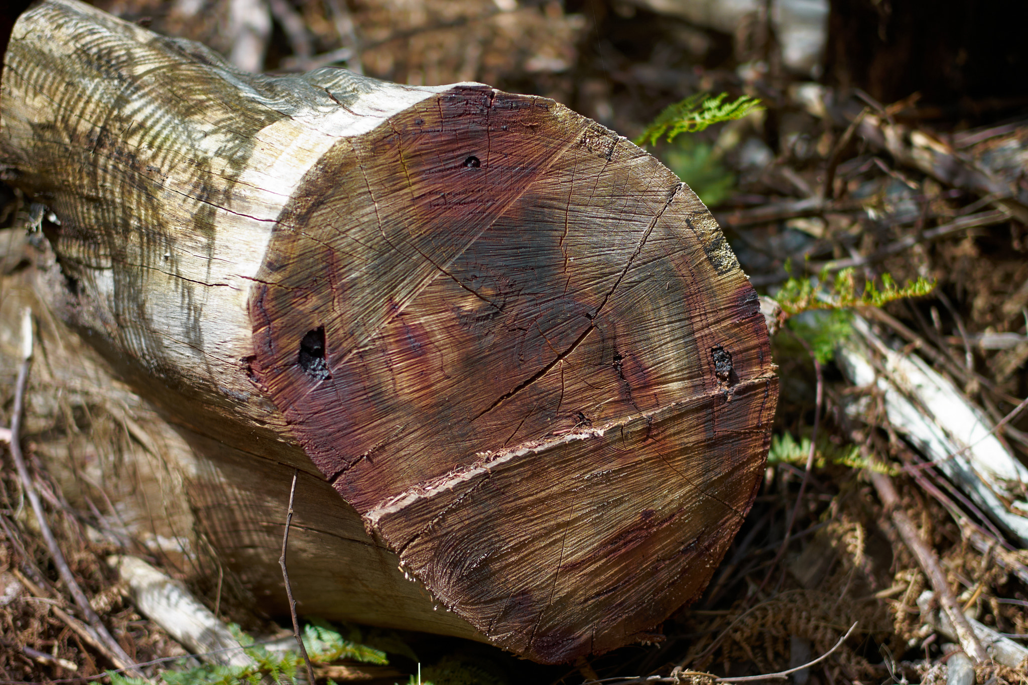 Leica M8 sample photo. * photography