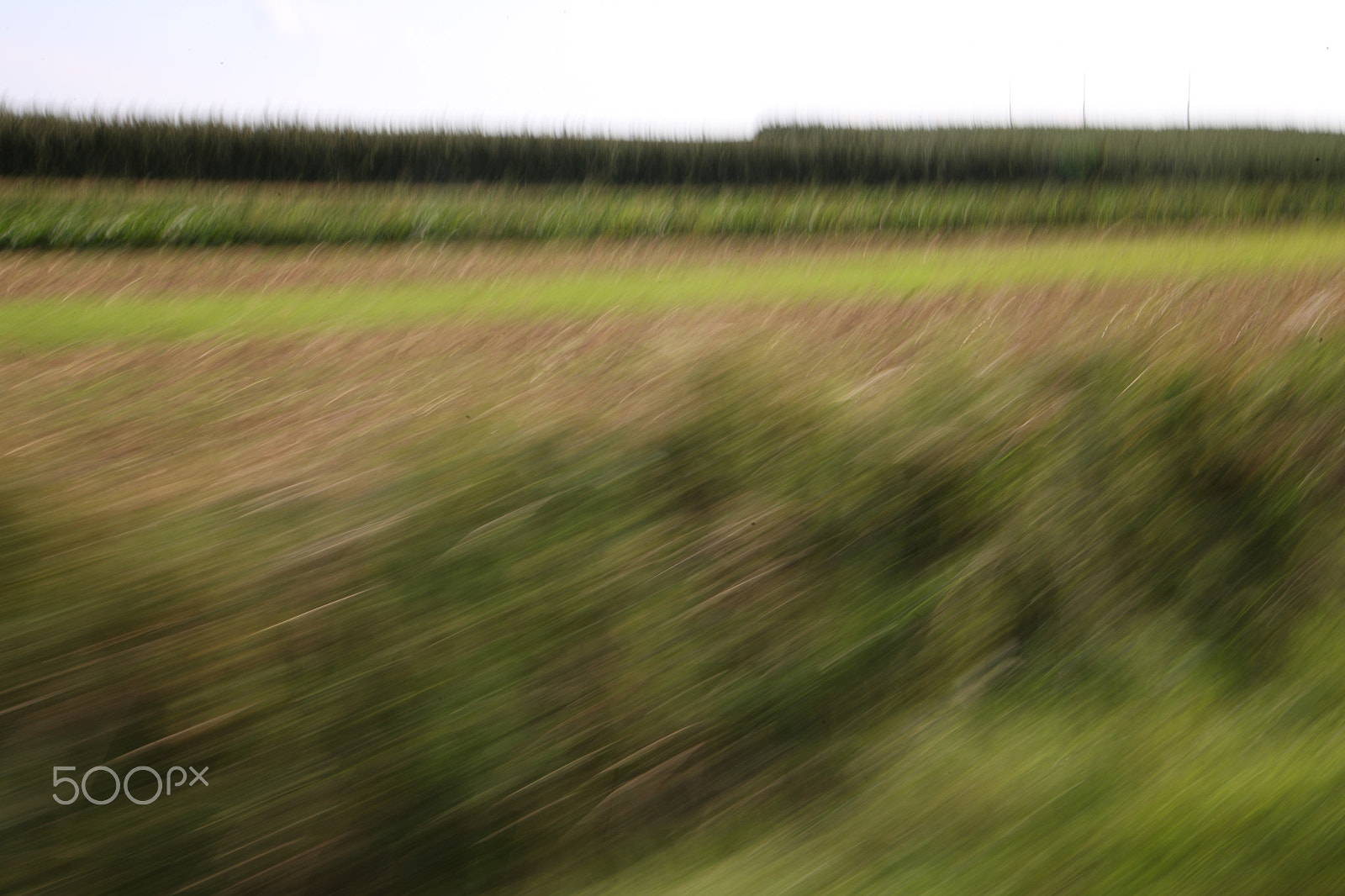 Canon EOS-1Ds Mark III sample photo. In motion photography
