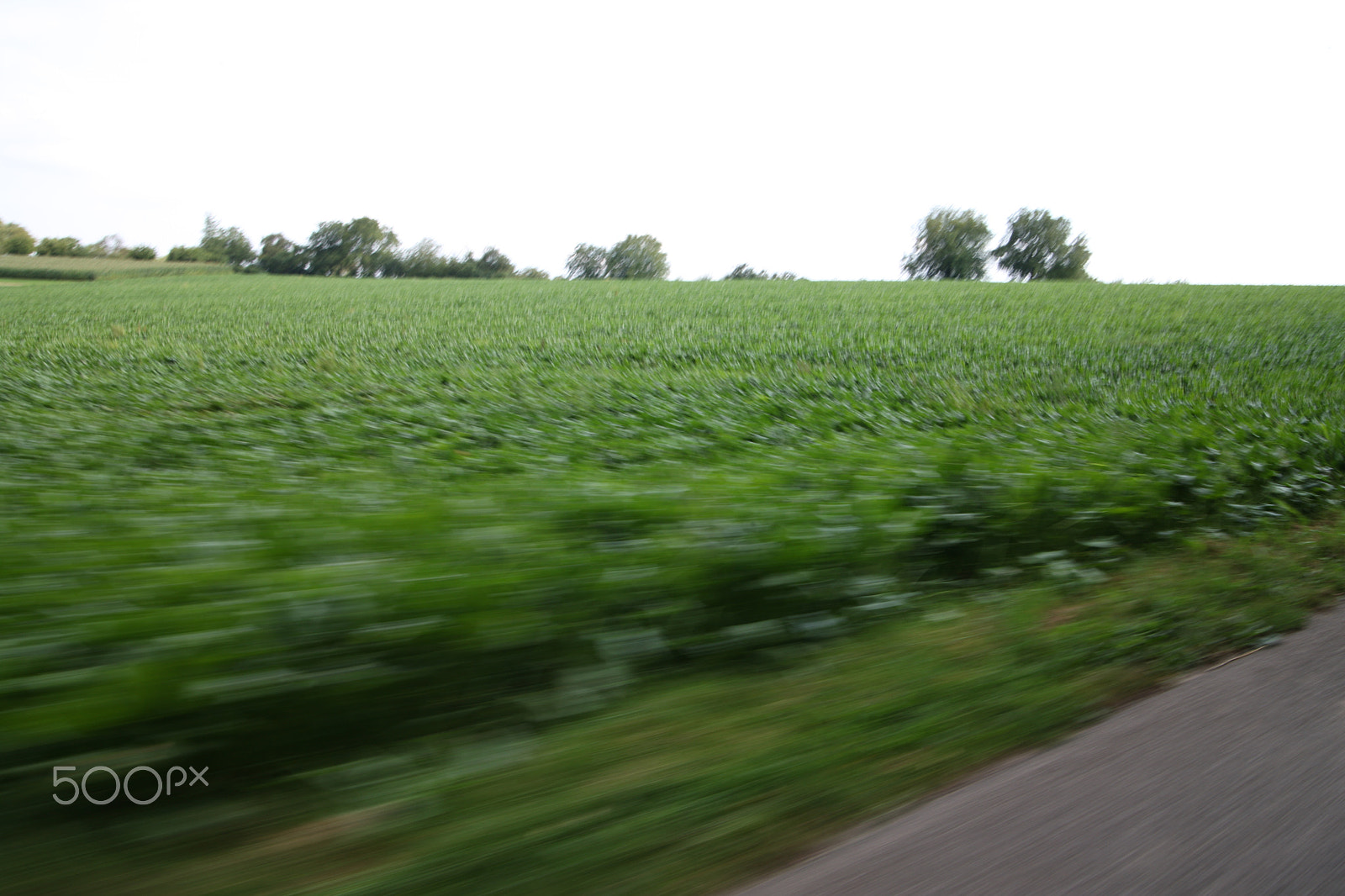 Canon EOS-1Ds Mark III sample photo. In motion photography