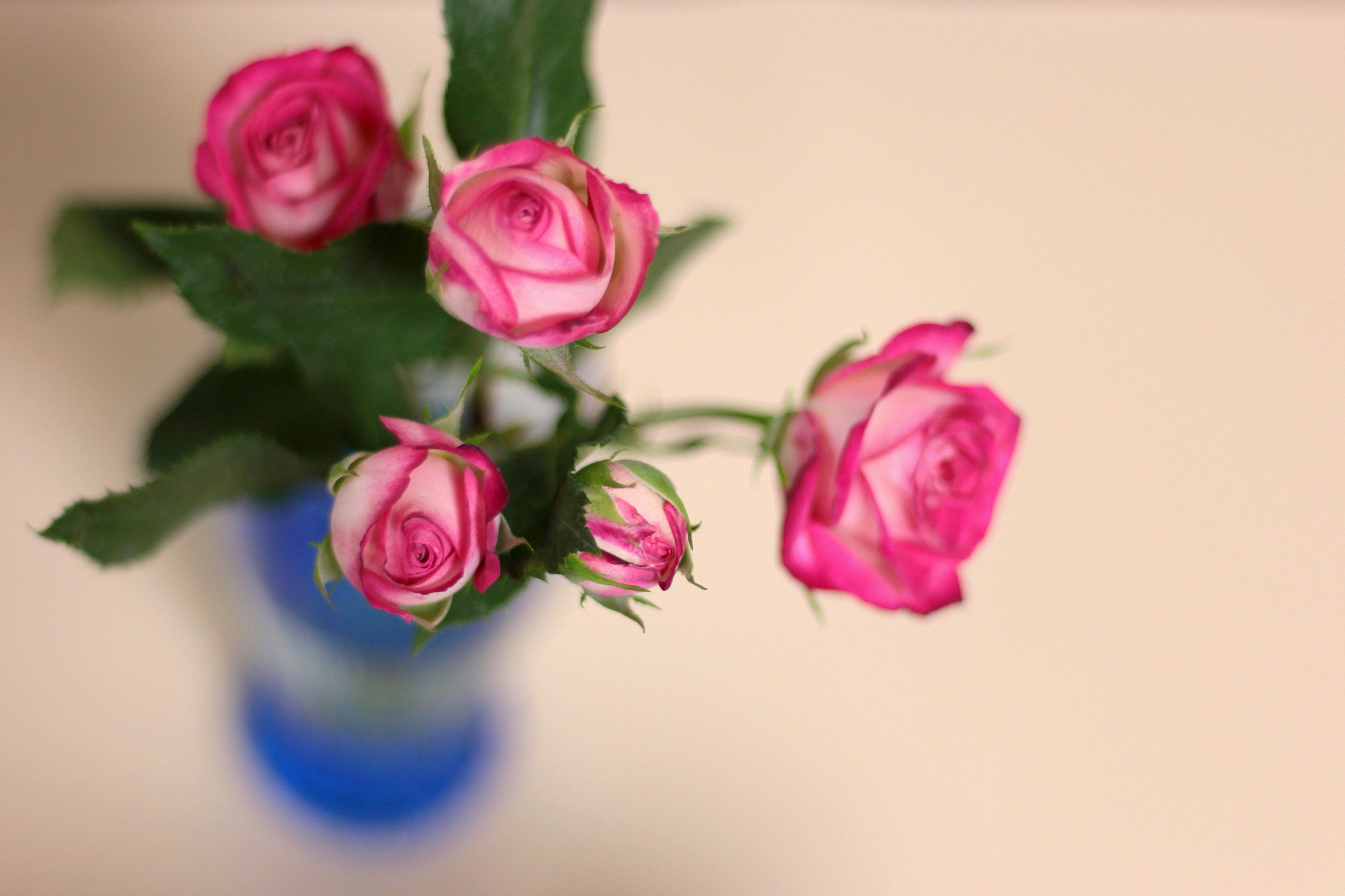 Canon EOS 650D (EOS Rebel T4i / EOS Kiss X6i) + Canon EF 50mm F1.8 II sample photo. Peaceful time photography