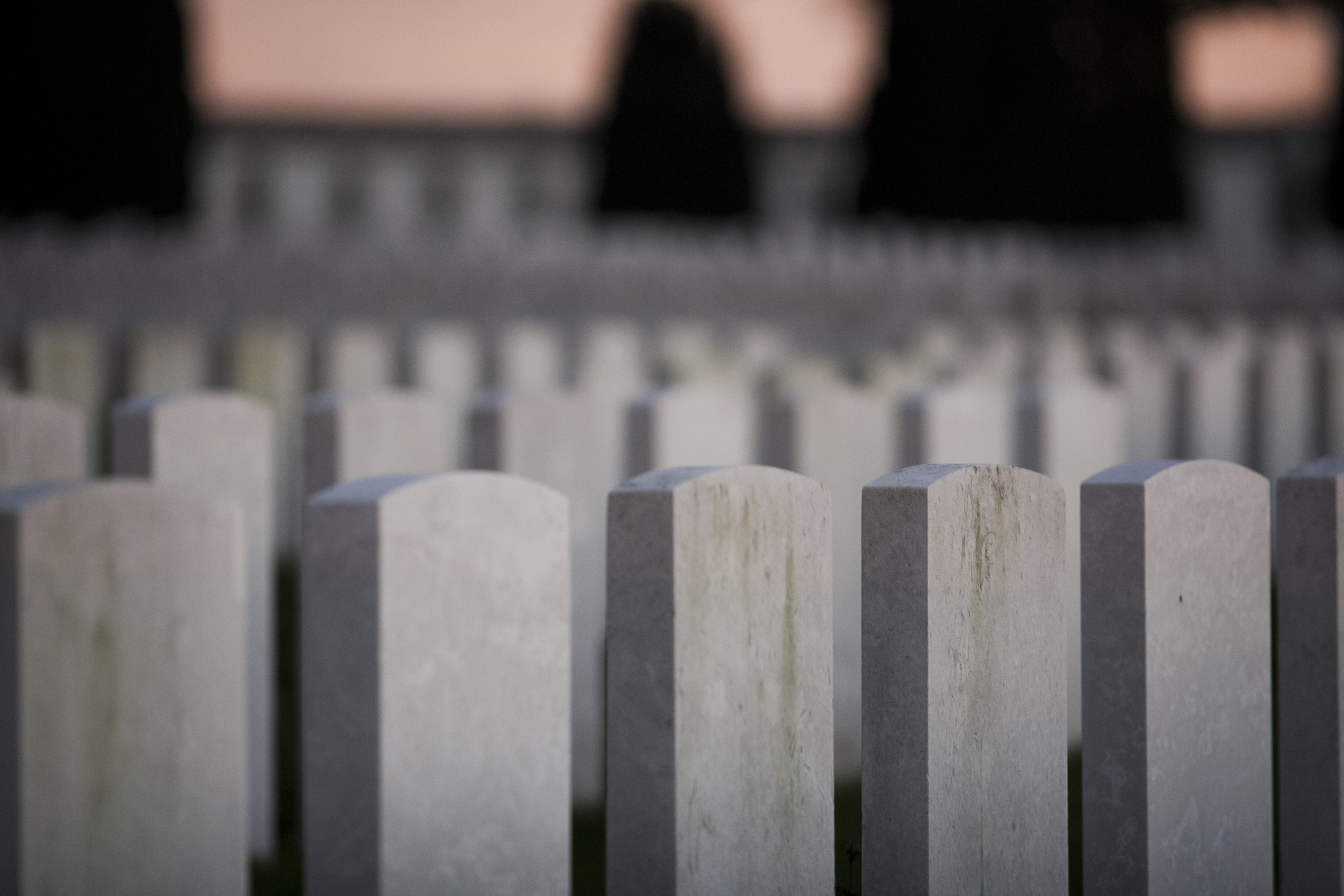 Canon EOS 5D + Canon EF 200mm F2.8L II USM sample photo. Unknown heroes in paschendale photography