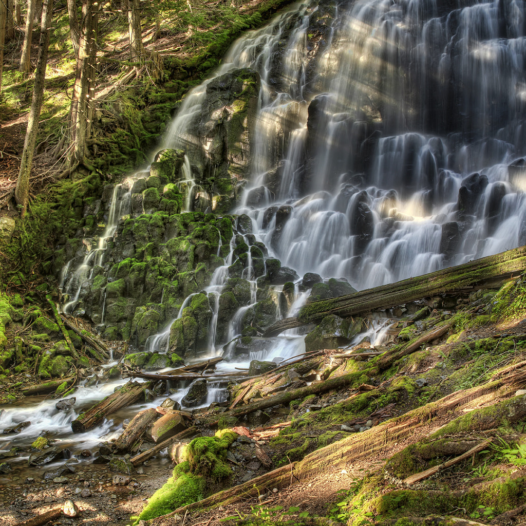 Ramona Falls by David Gn / 500px