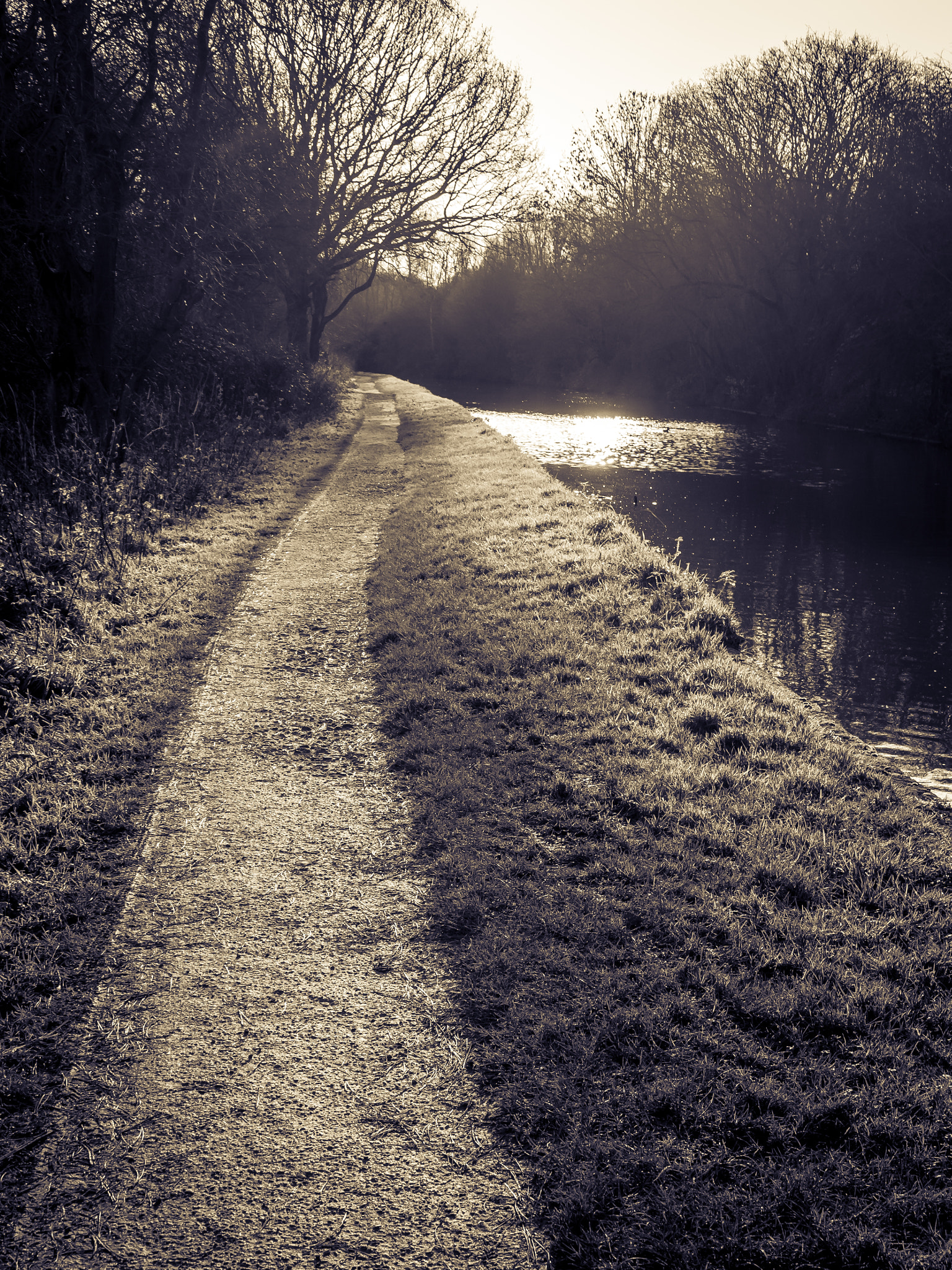 Olympus OM-D E-M10 II sample photo. Along the canal photography