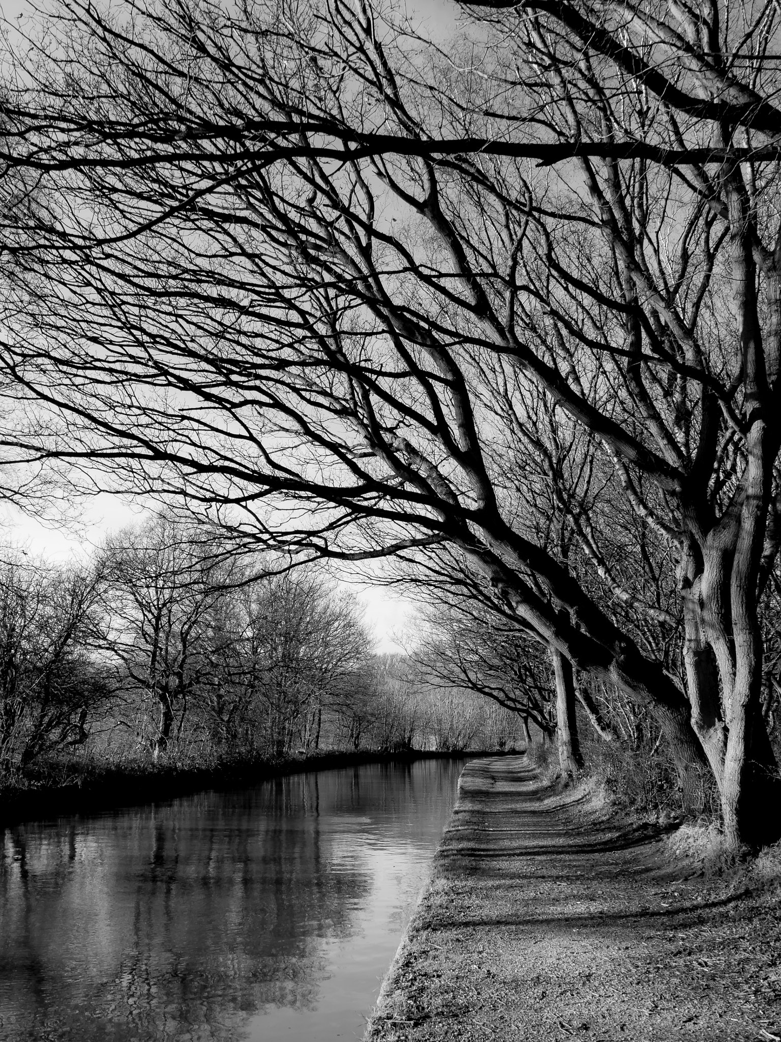 Olympus OM-D E-M10 II sample photo. Along the canal photography