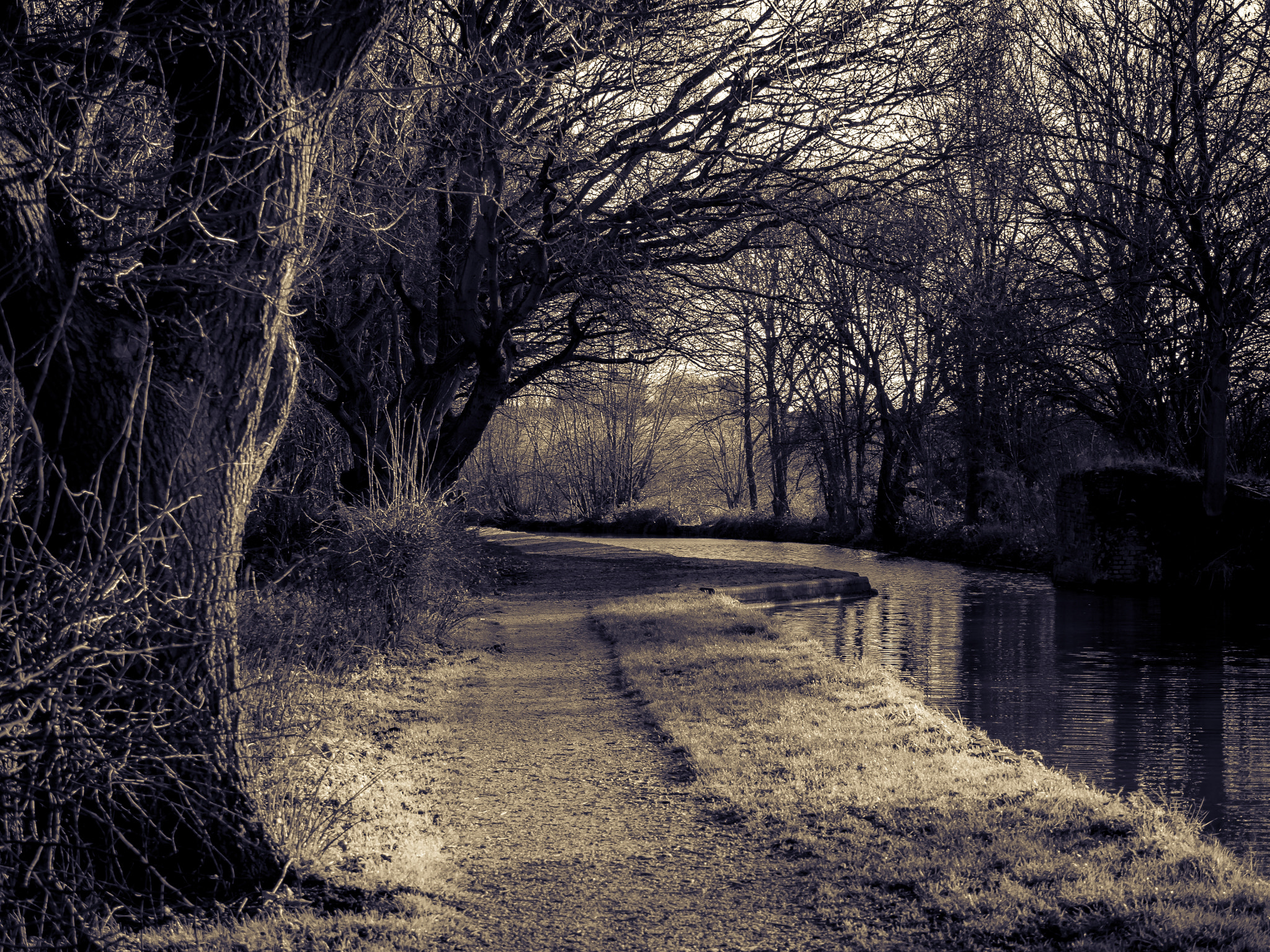 Olympus OM-D E-M10 II sample photo. Along the canal photography