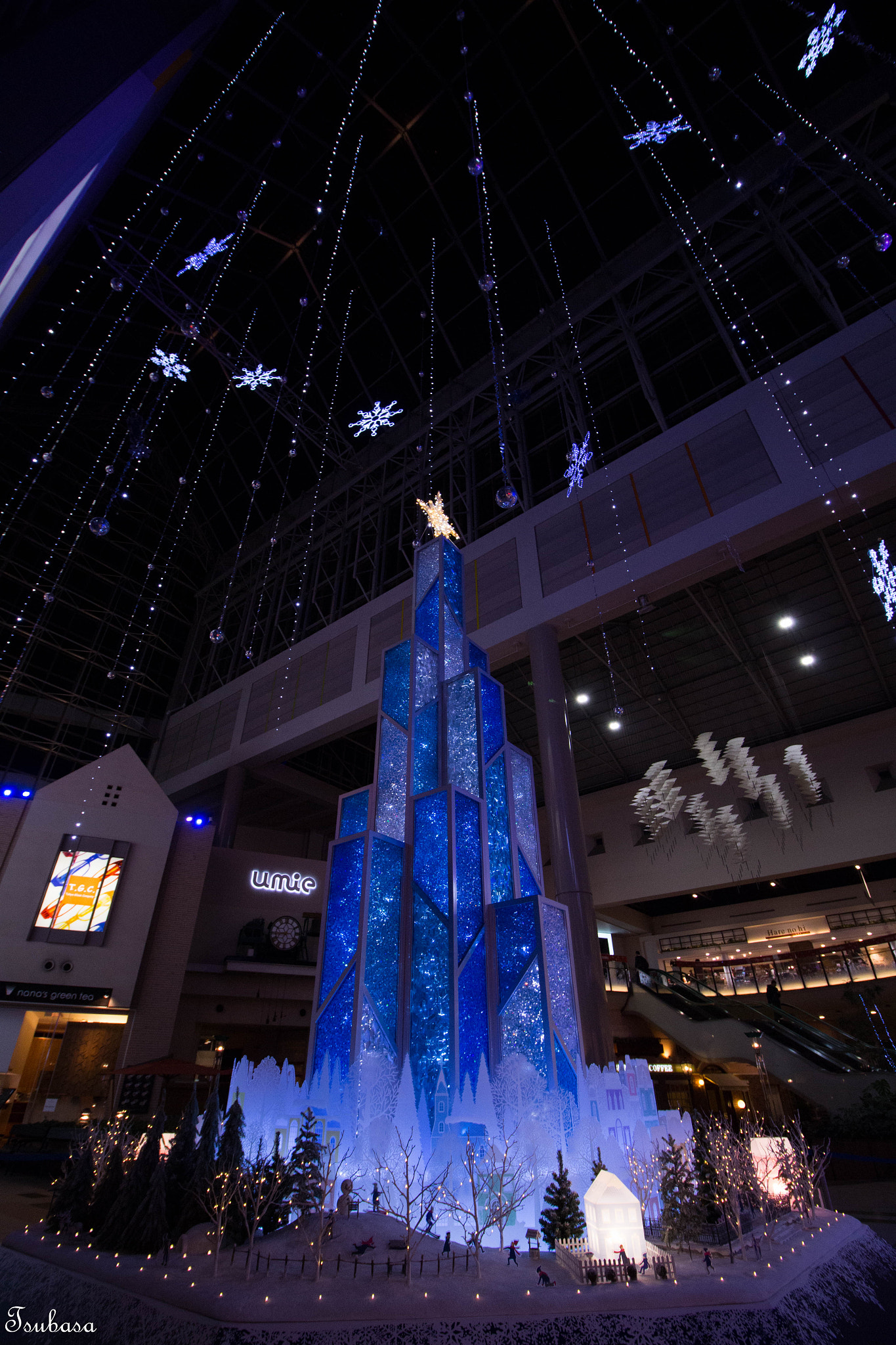 Canon EOS 700D (EOS Rebel T5i / EOS Kiss X7i) + Canon EF-S 10-18mm F4.5–5.6 IS STM sample photo. Christmas tree photography